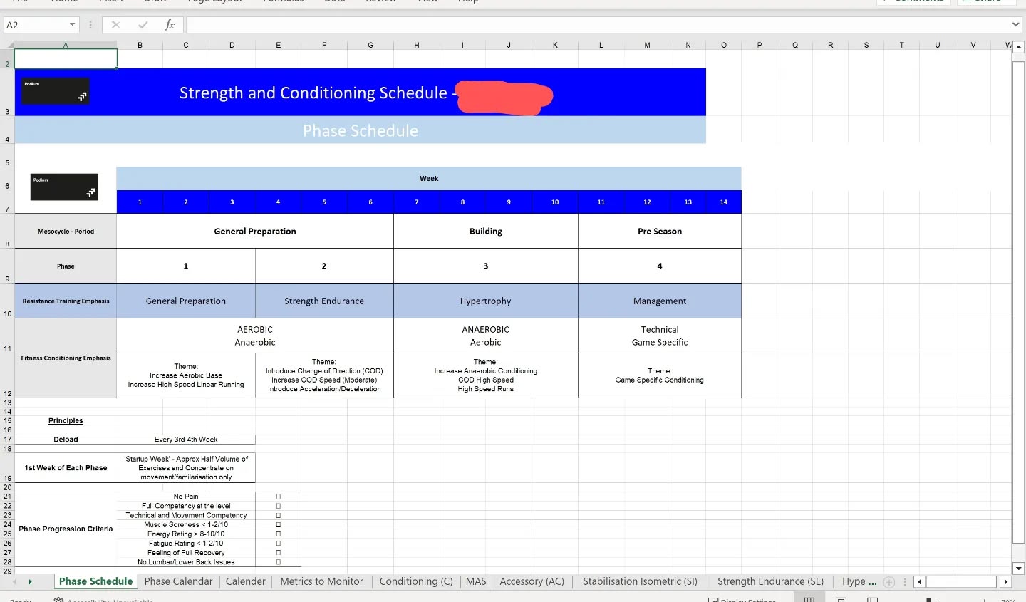 Snapshot of a Bespoke Strength & Conditioning Plan