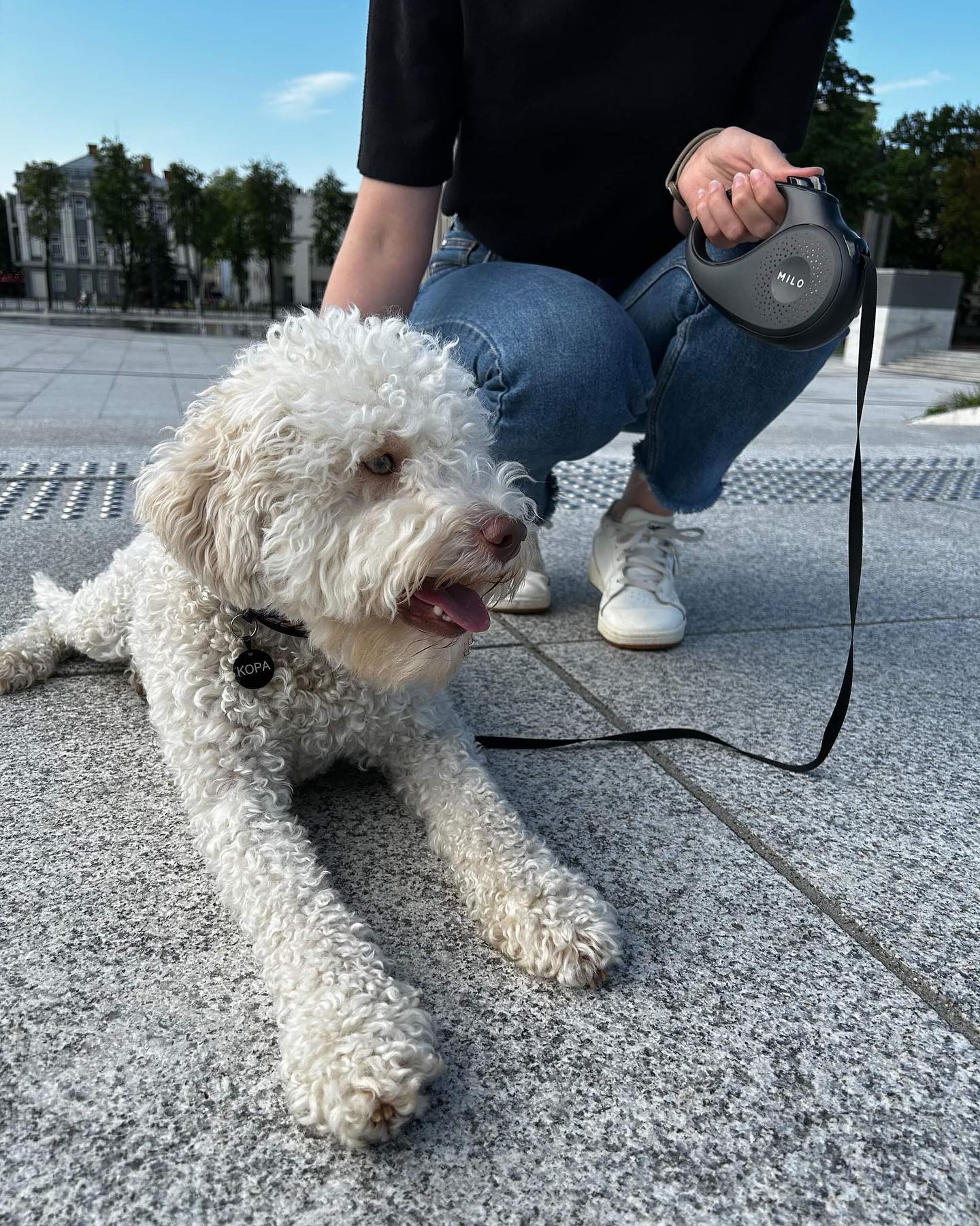 Ice Cream Melts, Style Doesn't! 🍦🐶
When the city heats up, our cool and trendy dog leashes keep your pup's style on point. No matter how hot it gets, their fashion game will be as refreshing as a cone of ice cream on a scorching day.
#stylishdog #dogleash #poodle #miloleash #citydogs #dogstagram