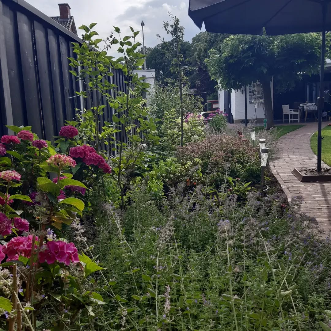 Geweldig feestje in een mooie bloemrijke tuin, - ontwerp 2021.