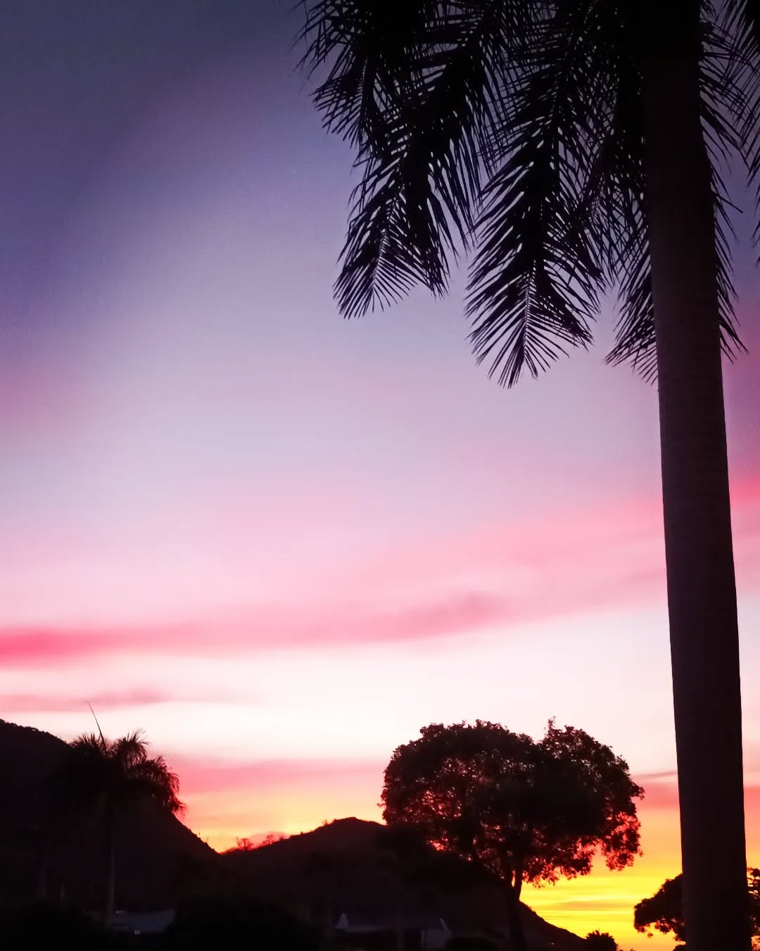 Beautiful sunset massage
Magie de la nature,
Massage sur mesure +590 690 406 701
#sbhmassage #masseuseadomicile #massagestbarth #massageadomicilesbh #stbartsvacation #stbarthelemy #stbarthmasseuse #stbarthmassage #stbarthloisirs #summerinstbarths #relaxinstbarth #enjoystbarth