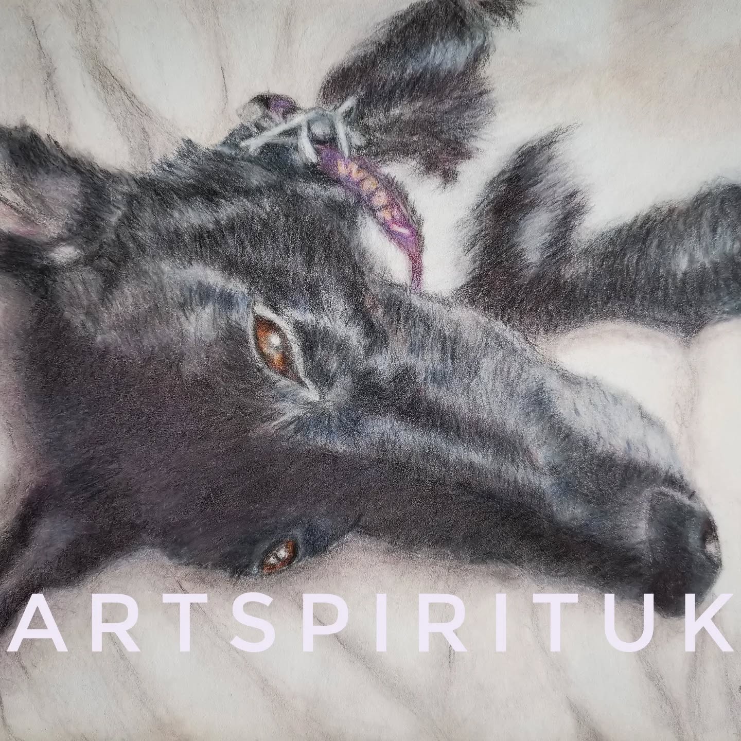 A Memorable portrait for a memorable beauty. ❤️❤️#doglovers #greyhounds #colourpencil #dogs #gallery