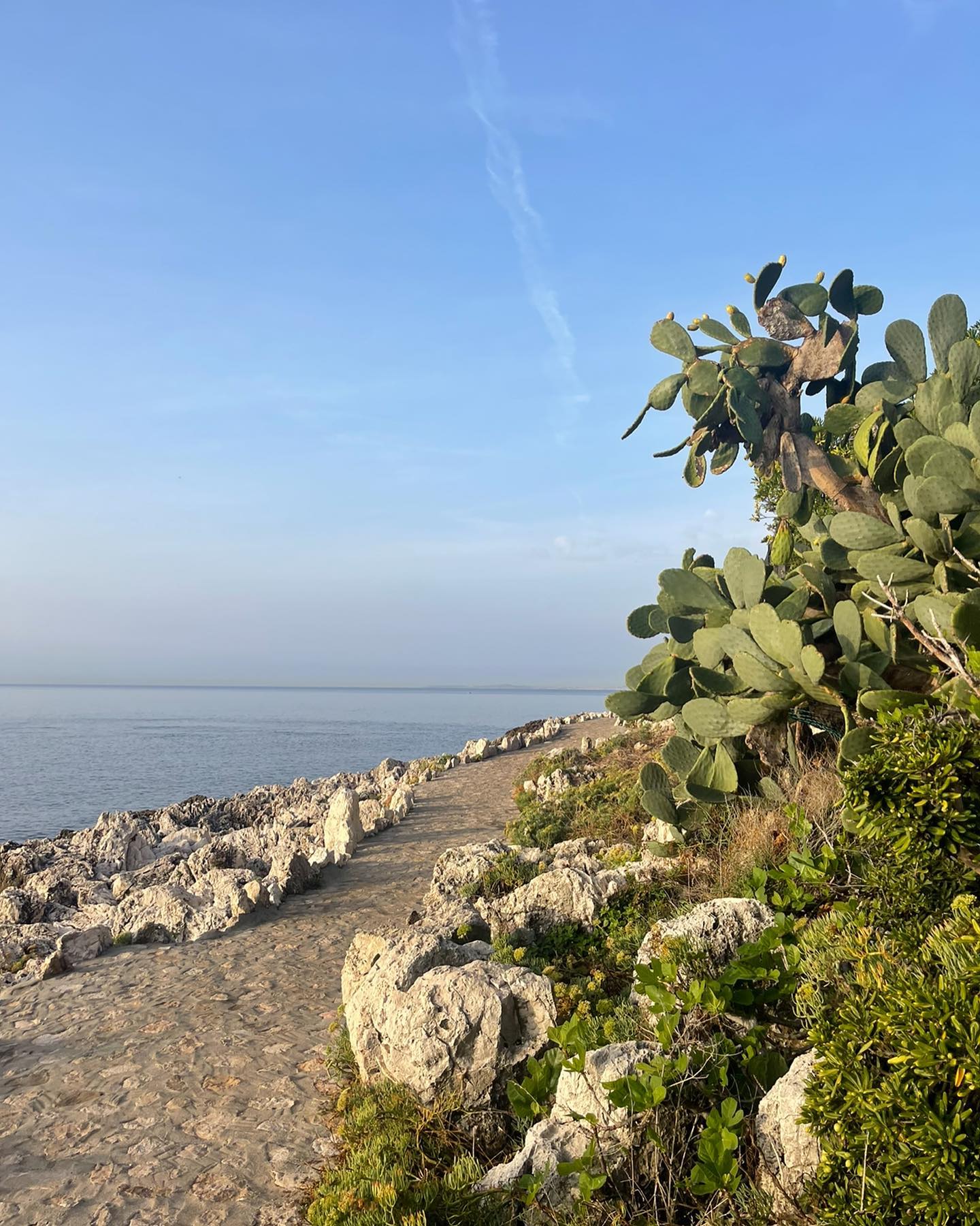 Luxurious trip for my clients to Cote D’azur!! VIP treatment @fscapferrat in the south of France. @hoteldeparismc in Monaco. Some of the highlights included a helicopter transfer from Nice Airport. Private yacht charter for lunch at @hotelducapedenroc. And vintage car rental along the coast and lastly exclusive access to beach clubs #eze #monaco #southoffrance #virtuoso #fourseasonscapferrat #vintageconvertible #sttropez #antibesfrance