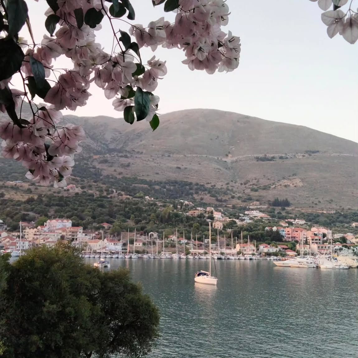 #greece #island #kefalonia
#agiaefimia