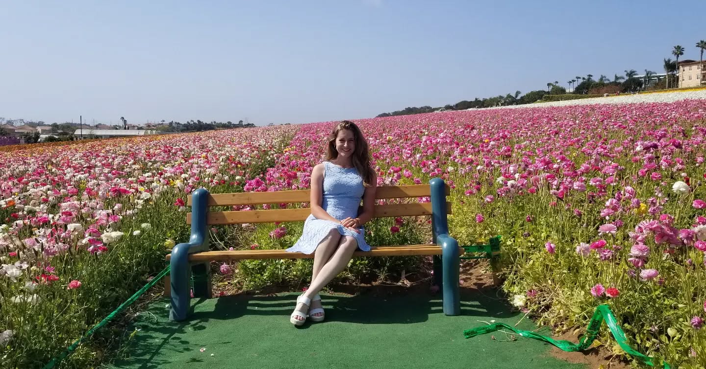 Anyone else ever visited the Carlsbad Flower Fields?
Gorgeous!