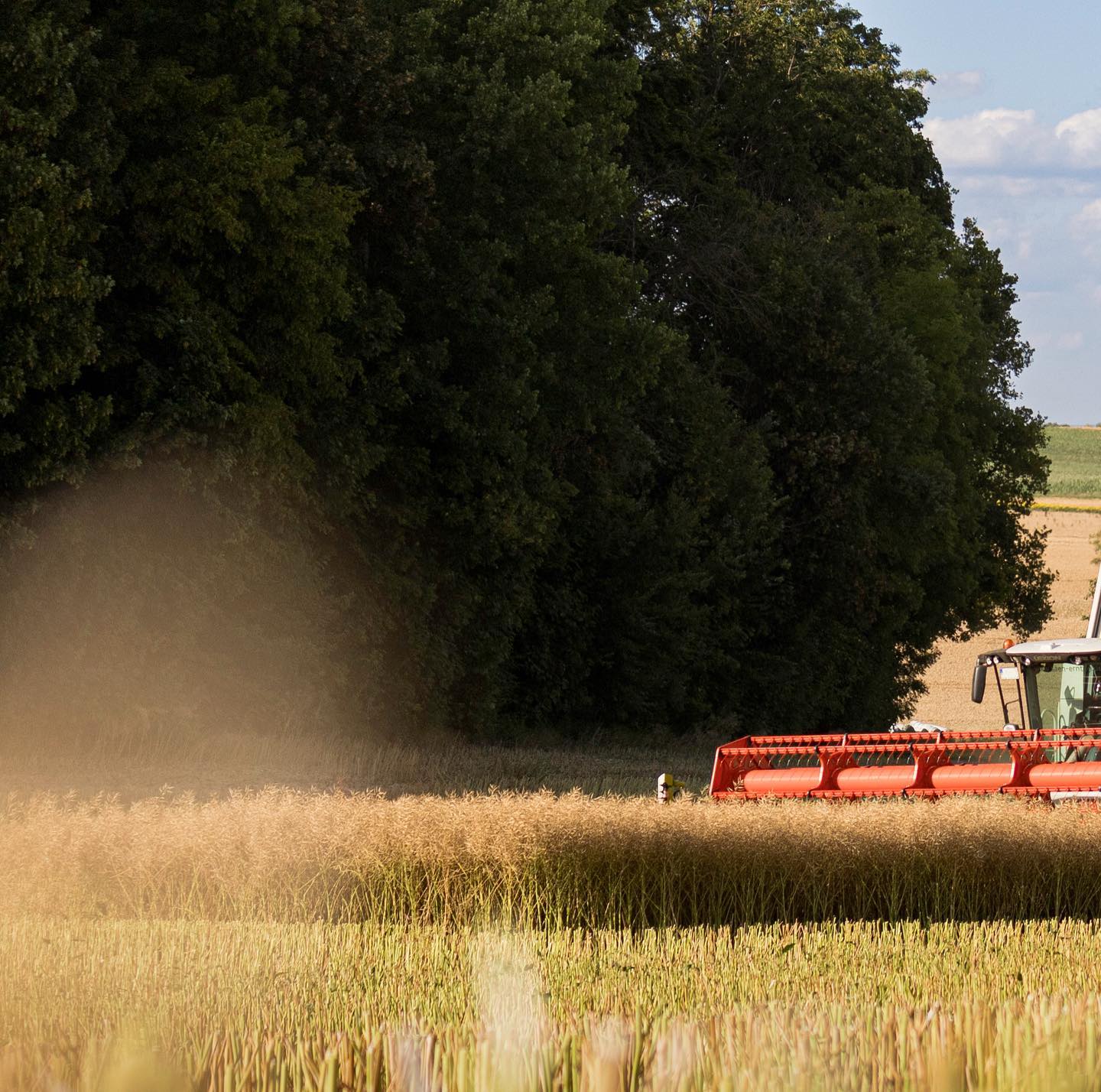 Abfahrt 🚜🤟🏽
.
.
.
.
.
.
.
.
.
.
.
.
.
.
.
.
.
.
.
.
.
.
#rapsernte #badenwürttemberg #landwirtschaft #erntezeit #rapsfelder #agrarwirtschaft #bauernhof #landleben #rapsblüte #feldarbeit #landwirt #erntedank #rapsöl #natur #rapsblütenmeer #rapsfeld #rapsanbau #rapskultur #rapsblütezeit #rapsblütenpracht #rapsliebe #rapslandschaft #rapsfelderzauber #rapsblütenfeld #rapsblütenzauber #rapsblütenwunder #rapsblütenidylle #rapsblütenmeer #rapsblütenparadies #rapsblütenlandschaft