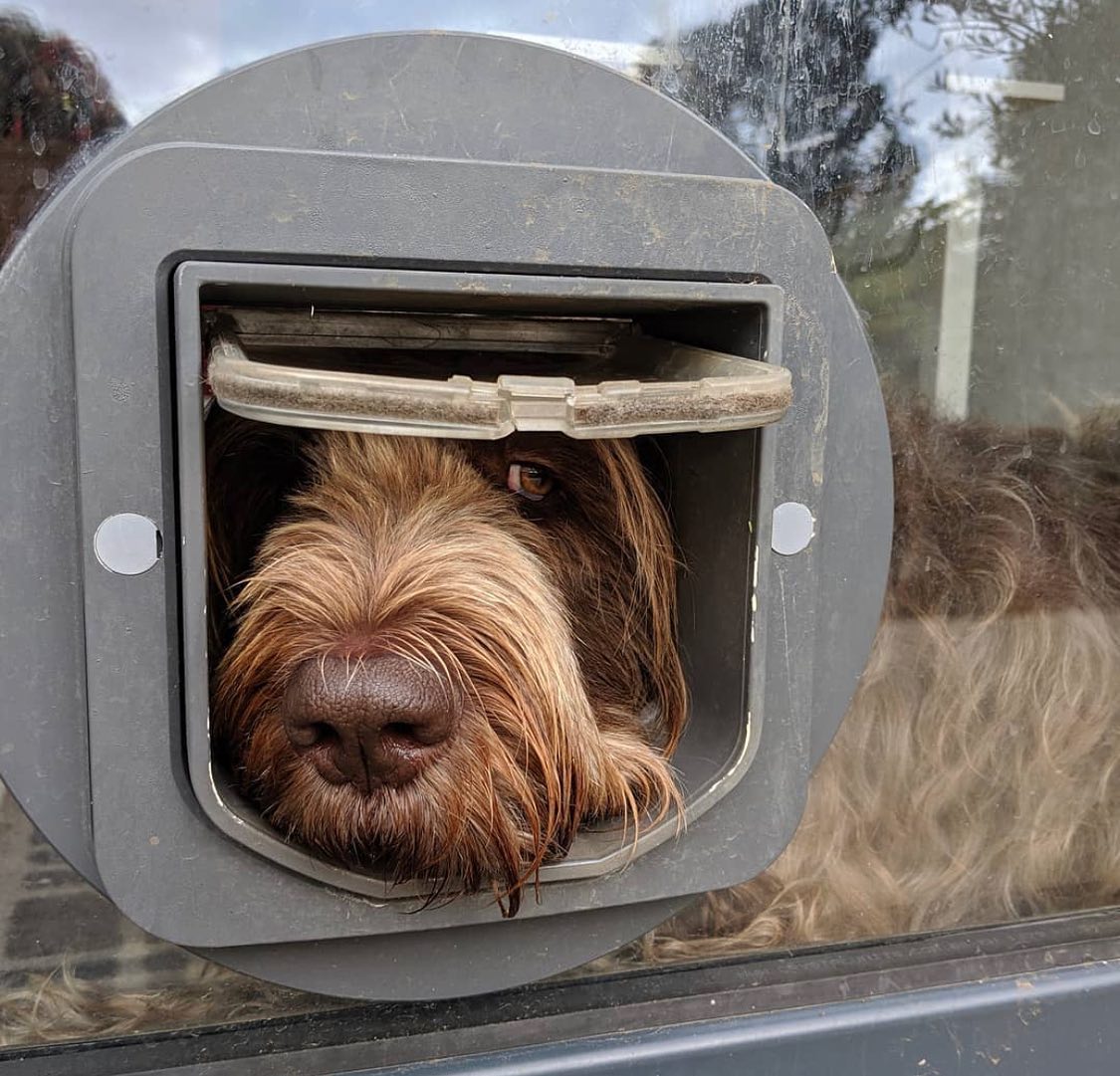 No matter where you are in London we will install a beautiful cat/dog flap for you and your Cat/dog.
Depending on your situation we can install into windows, glass sliding doors, screen doors.
Contact us and we will talk you through your options.
#cat #catflap #london #catflap #catlover #catcare #petsafe #sureflap #uk #england #london #london🇬🇧 #londonlife #catcare #catpet #dog #doglover #dogs #doginstagram #dogi #pet