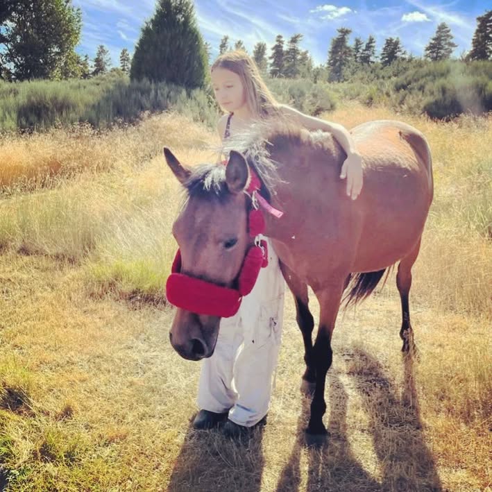 Lost in fairytales, princess Liz and the light she sheds.
#purechild #naturelove #ponys #summervibes #permaculture #randonneesequestre #auclairdelasource #montagneardechoise #Lanarce