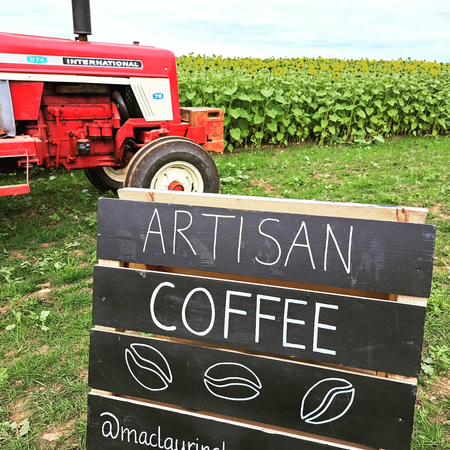 Come find at us the stunning @balgone_estate Sunflowers trail on various dates this month! We're here 10th 11th 12th 14th and 15th aswell as the 18th 19th and 20th!