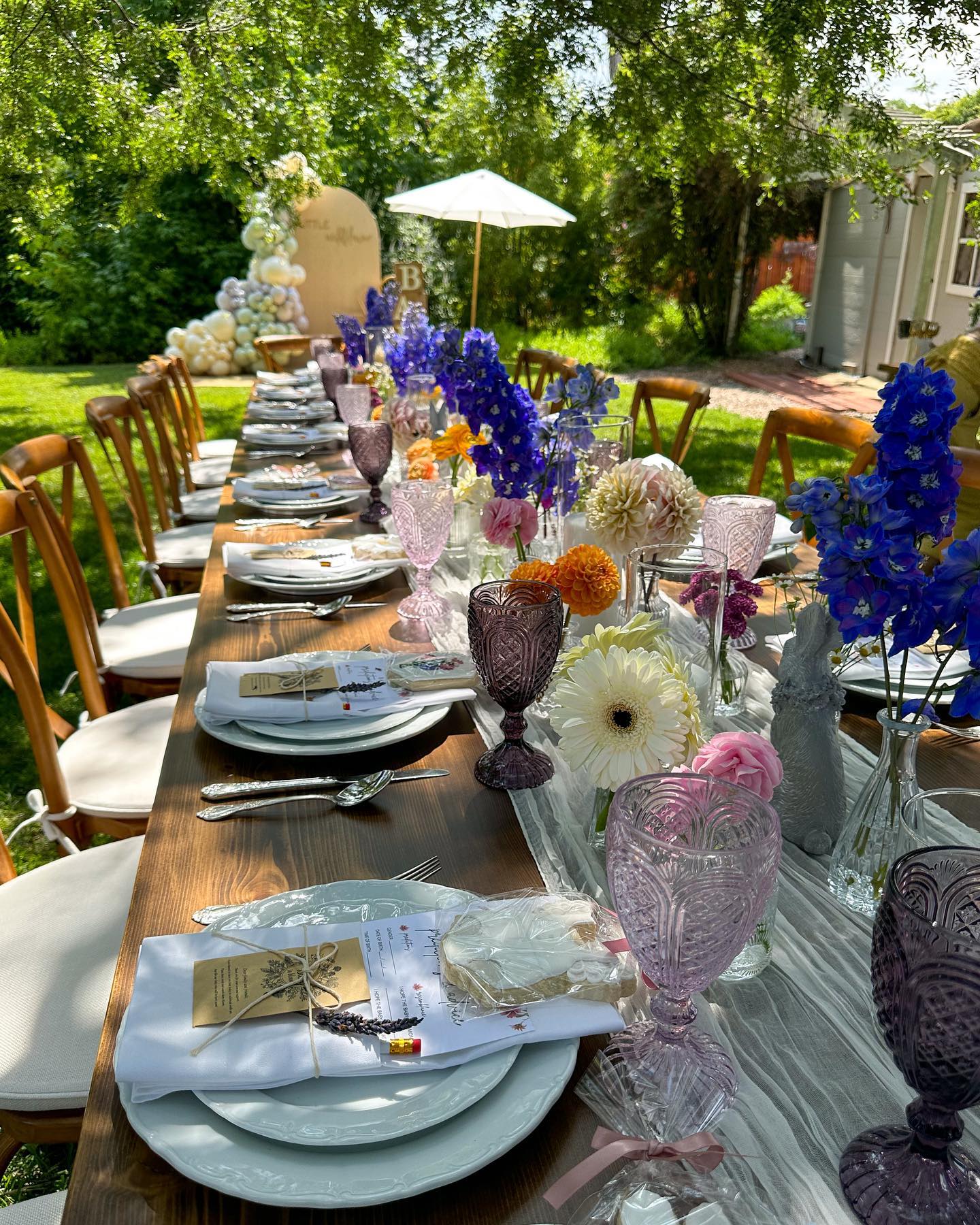 Baby in Bloom 🌷💫