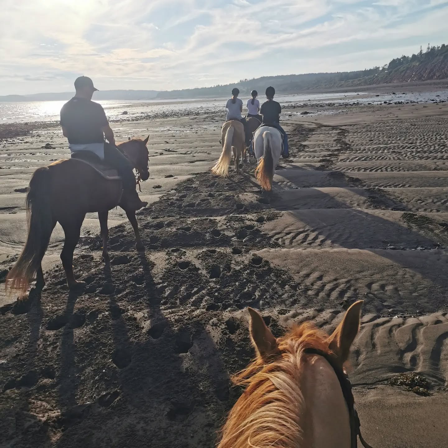 There is something special about a evening beach ride ! #trailriding #trailridingadventures #bayoffundy #beachrides
