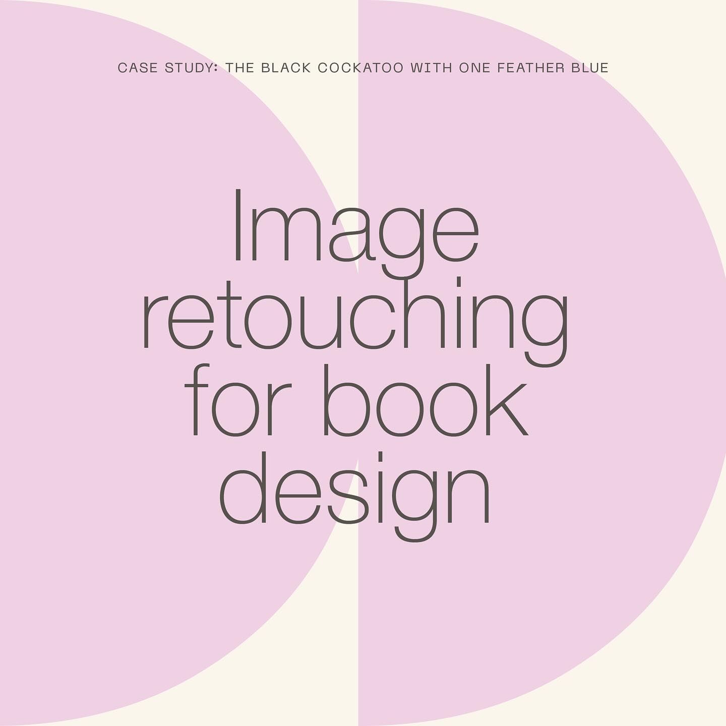 Retouching and adjusting images is an important part of the book design and production process, to help achieve the best print job possible.
This post includes a few examples of retouching and image adjustments I made to the beautiful hand-painted illustrations on paper by @eloiseshortdesign for The Black Cockatoo With One Feather Blue.
See more tips for retouching and image adjustments in comments.
The Black Cockatoo with One Feather Blue:
Written by @jodiemcleodwriter
Illustrated by @eloiseshortdesign
Design and production by moi at King Street Press
#bookdesign #selfpublishing #selfpublishingservices #publishing #aussieauthor #childrensbooks #childrensbookillustration #australiankidsbooks #australianpicturebooks #printdesign #layoutdesign #australianauthor #shoalhaven
