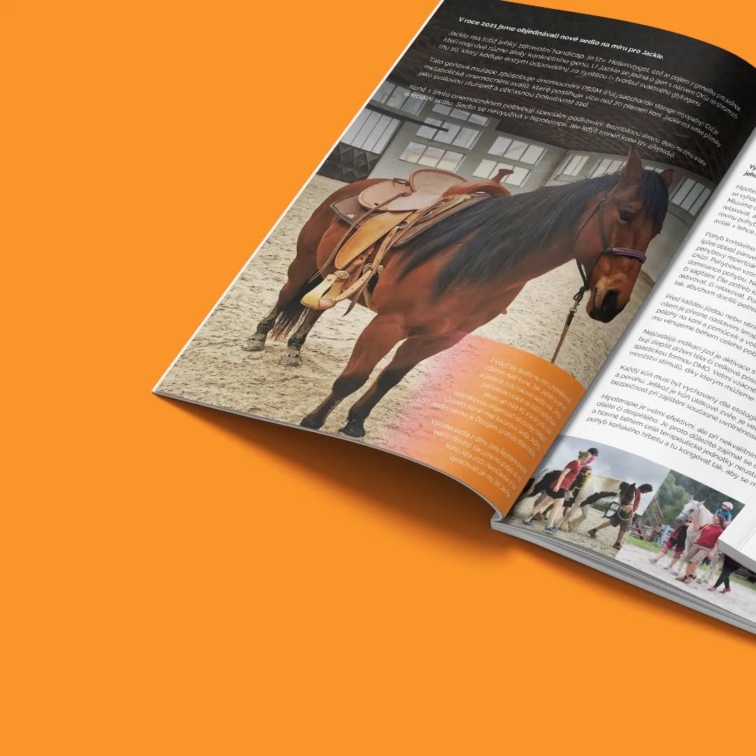 Výroční zpráva 2022 pro Centrum hiporehabilitace Mirákl – zdravotnické zařízení, které celoročně nabízí týdenní hiporehabilitační pobyty pro děti se speciálními potřebami. ✅
Krom této 35stránkové brožury vznikly i speciální samolepky, prezentace, certifikáty a propagační leták. 🤝
.
.
.
Annual report 2022 for the Mirákl Hyporehabilitation Center – a medical facility that offers weekly hyporehabilitation stays for children with special needs all year round. ✅
In addition to this 35-page brochure, special stickers, presentations, certificates and a promotional leaflet were also created. 🤝
#brochure #poster #logo #grafika #design #designer #antoninparal #logodesigner #like #graphic #graphicdesign #kolin