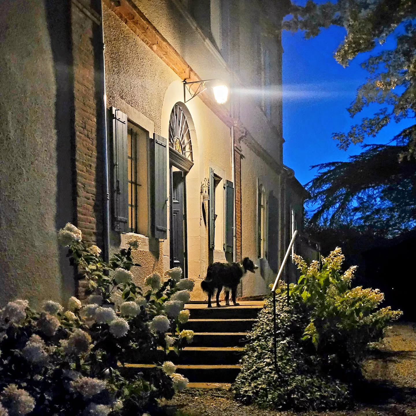 Vroeg of laat bloemen en blauwe luchten leiden de weg naar de entree. Welkom!
Tôt ou tard, des fleurs et un ciel bleu vous mènent à l'entrée. Bienvenue!
#chambredhotesdecharme #chambredhotes #boutiquehotel #secretplace #tourismeoccitanie #ohlechateau #bordercollie #eveninglight #bedandbreakfast #segalatarnais #fleurs #hydrangea #jardin #vacation
