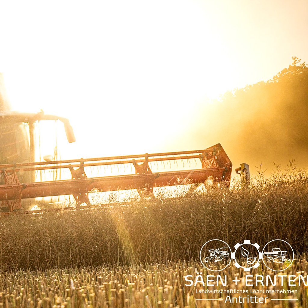 Raps Ernte 2023 Teil 1/2
.
.
.
.
.
.
.
.
.
.
#raps #rapsfeld #rapsernte #ernte2023 #kraichgau #2023 #landwirtschaft #lohnunternehmen