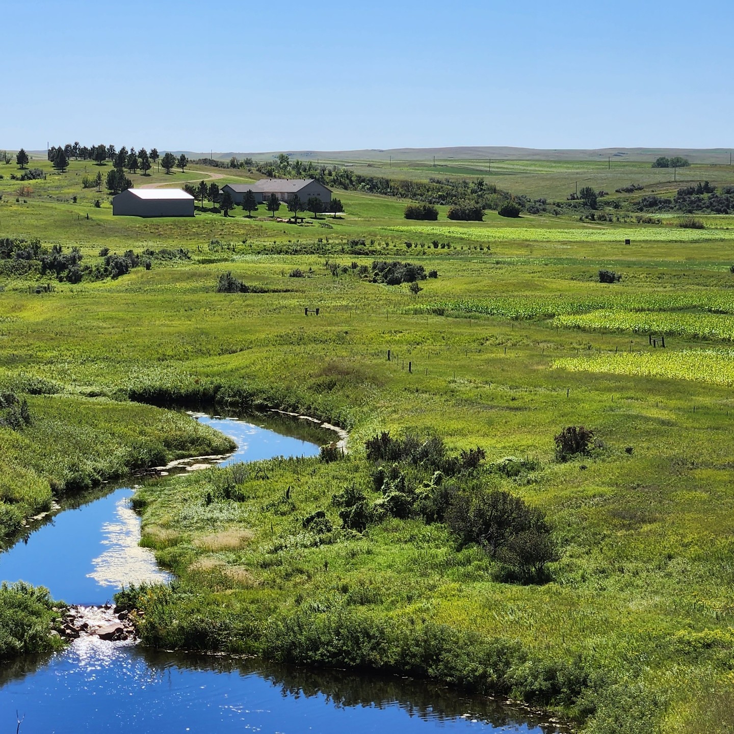 NRE is overseeing a bioengineering project on a creek in North Dakota. The goal is to improve the habitat along the creek by installing native shrubs and trees in strategic locations along the creek. The live stakes will secure the bank during high-water events as well as provide beavers an excellent material source for their dams which will assist with the floodplain restoration.
#bioengineering #habitatrestoration #nativerestoration #northdakota