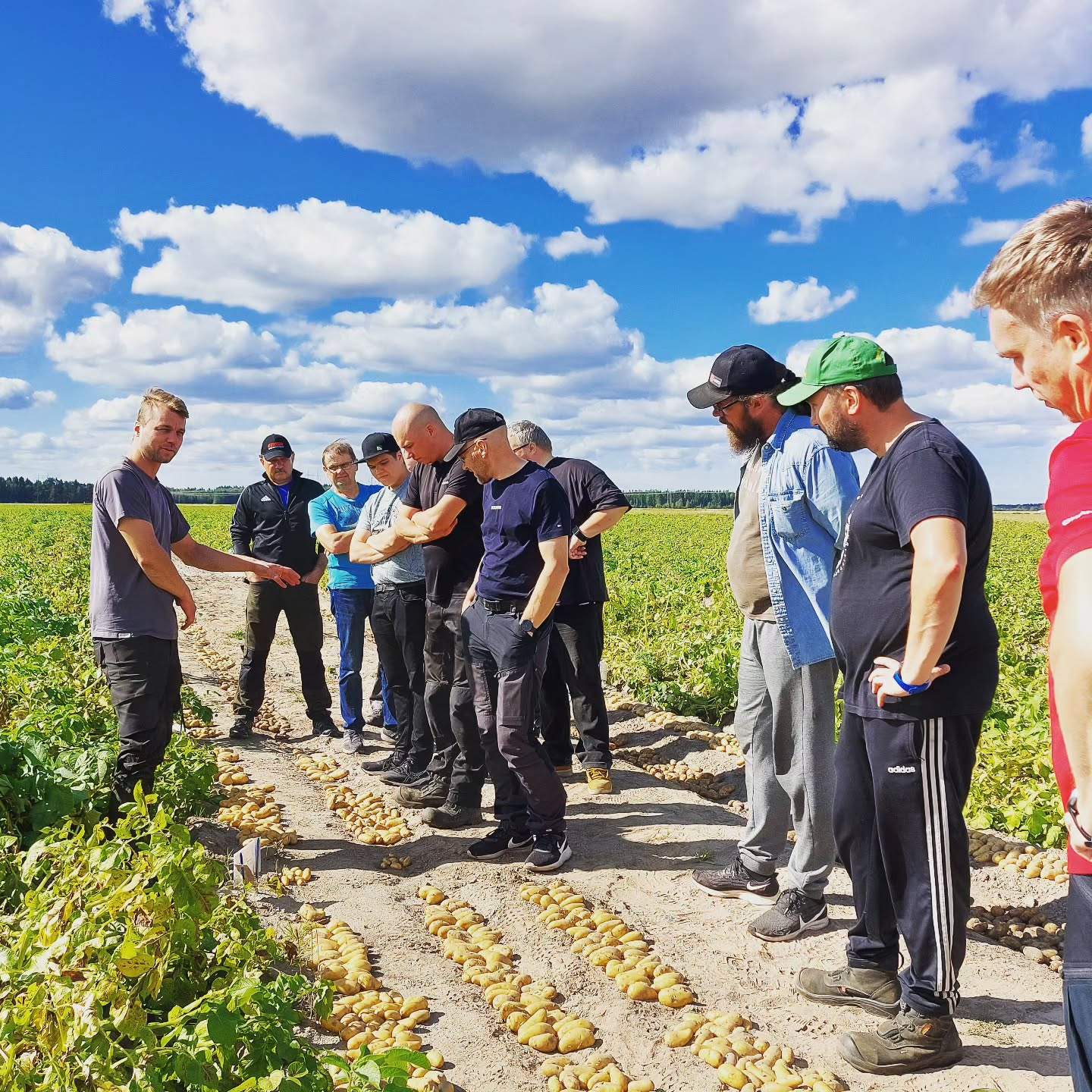 Ei oppi ojaan kaada! 🌞 Kantaperunan henkilökunta ja sopimusviljelijät tutustumassa lajikekokeeseen ja oppimassa toisiltaan. #yhteistyö #oppiaikäkaikki #kenttäpäivä #hzpc #kantaperuna #siemenperuna