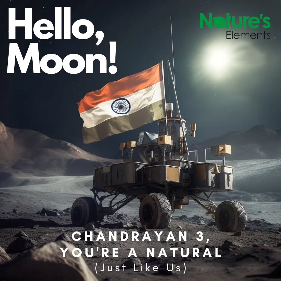 Well the Moon looks Beautiful Tonight❤