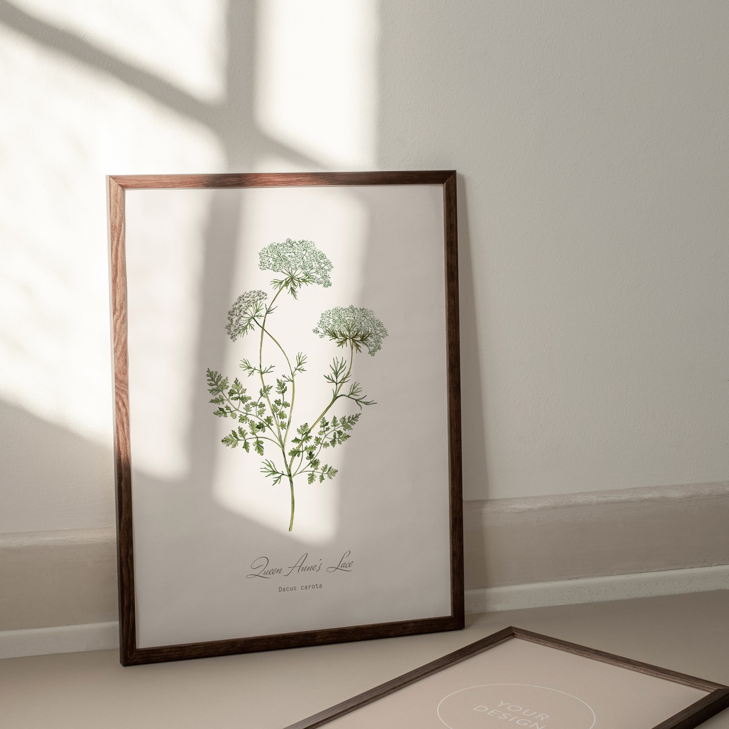 Queen Annes Lace, A bestseller in my botanical print shop . #hackneyandcodesign #floralwalldecor #botanicalprint #thoughfulgifts #homeofficedecor #floralillustration #queenanneslace #delicatefloral #simpledecor #minimalistprint