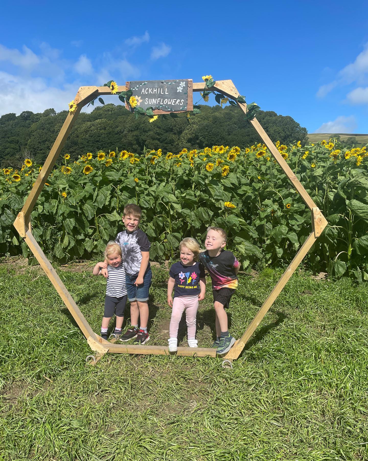 We’ve been to @ackhillsunflowers today and had a lovely time 🌻
Kids loved the maize maze 🌽
Only 5 minutes from The Stables
#thingstodo #sunflowers #maizemaze #summerfun