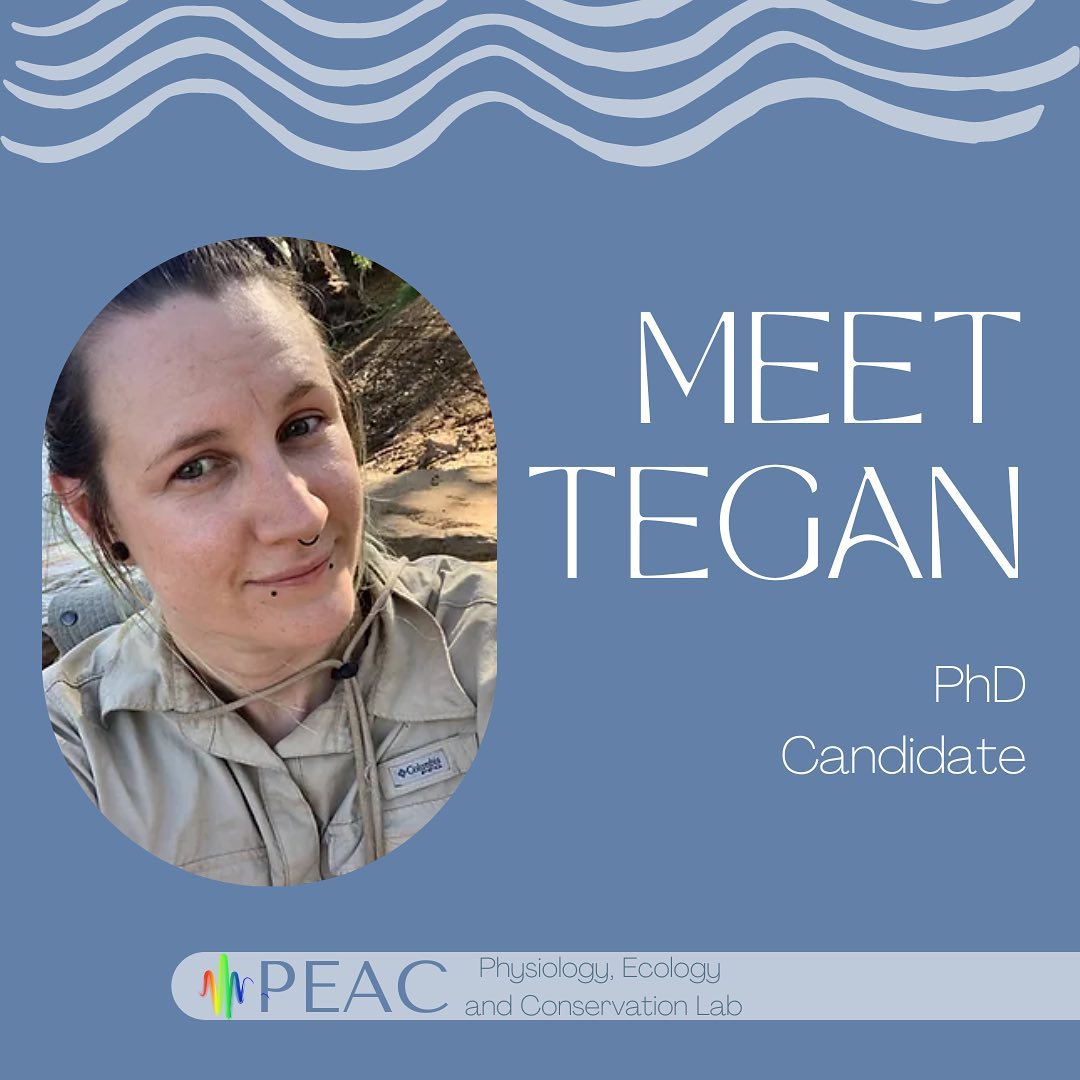 Tegan is a PhD Candidate using vertebral micro chemistry to determine age, growth and habitat use of largetooth sawfish and bull sharks in the Fitzroy River, WA 🦷🪚🐠🐂🦈 She loves that her PhD combines the routine and structure of lab work with the fun and dirt of fieldwork 😊