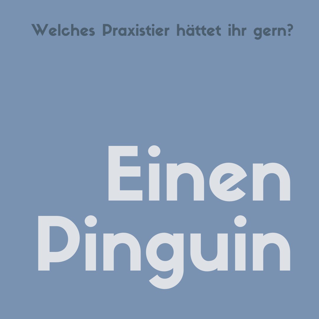 Wir als Team bewerben uns bei dir - und beantworten sonderbare Fragen:
"Welches Praxistier hättet ihr gern und warum?"
Bei dieser Frage war sofort laut, eindeutig und einstimmig die Antwort klar:
Ein Pinguin soll es sein!
Pinguine wirken zunächst in ihren Bewegungen nicht anmutig und schon gar nicht perfekt. Sie sind süß tollpatschig und erobern gerade damit unser Herz.
Doch Pinguine können atemberaubend gut rutschen. Elegant und mutig rutschen sie steile Abhänge und rasante Kurven hinunter.
Dabei sind Pinguine stets stilvoll und strahlen Charme und Würde aus.
Pinguine sind Vögel und doch flugunfähig - sie sind gewissermaßen körperlich eingeschränkt.
Doch Pinguine zeigen zugleich, dass ein Handicap nicht automatisch einer Beeinträchtigung gleich kommen muss.
Im Gegenteil: Sie können sogar auf Glatteis laufen.
Ein Pinguin kann auch schon mal wahrhaftig zielführend sein:
Ein Patient macht regelmäßig Gehtraining mit uns. Ziel ist, es einmal zum Nachbarn und zurück zu schaffen.
Dort im Vorgarten steht ein Pinguin.
Also heißt es jedes Mal aufs neue:
Alle Energien mobilisieren - hinlaufen - dem Pinguin den Kopf streicheln - zurücklaufen.
Und nach vollbrachter Leistung sagen können: "Ich war beim Pinguin."
Also.
Pinguine sind ideale Vorbilder, Begleiter, Kraftspender.
Sie sind die perfekten Praxistiere.
Und dabei einfach nur:
Allerliebst!
#wirbewerbenuns
#diesonderbarefrage
#praxistier
#pinguin
#ergotherapie #ergotherapeut #ergotherapiepraxis #ergotherapiebochum #bochum #stellenanzeige #stellenanzeigen #stellenangebot #stellenangebote #stellenangebotergotherapie #jobangebot #jobangebote