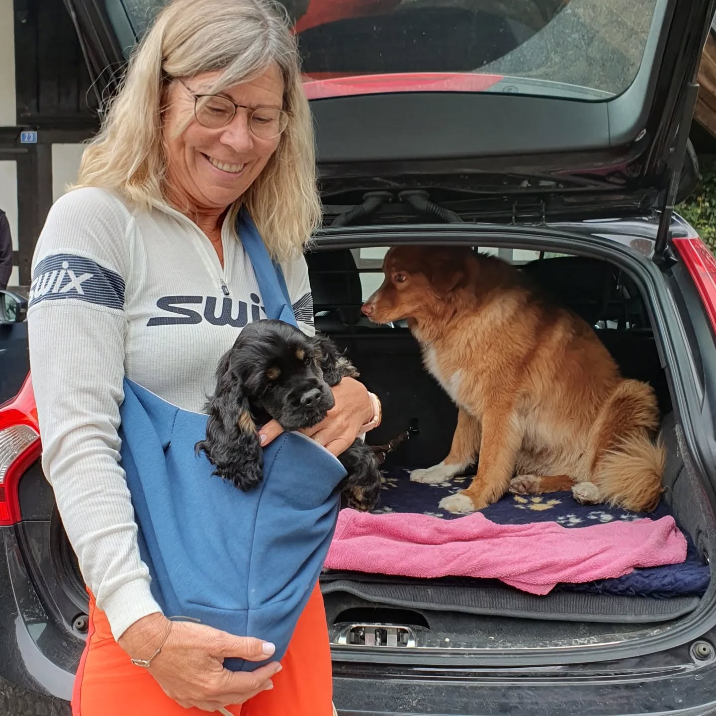 Auch Gioia und Darco durften in ihr neues Zuhause umziehen. Emma ist fröhlich und hofft noch auf die richtige Familie.
#americancocker
#americancockerpuppy
#cutepuppies