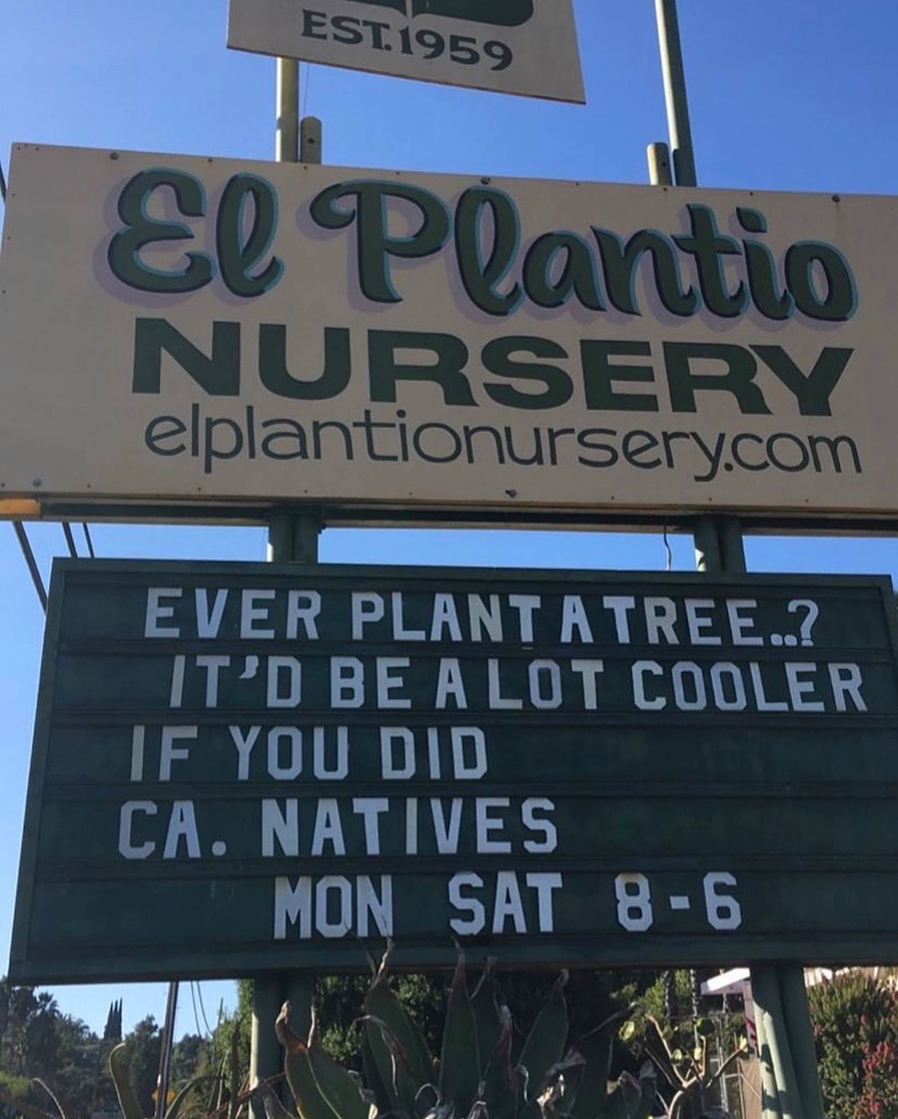 Oldie but a goodie from our awesome friends over at @elplantionursery !
๐๐ฒ๐
But for real, trees are natureโs solution to many of todayโs issues. Not only do they cool surface and air temperatures by evaporation, transpiration and with the shade they provide, they sequester carbon, provide fresh air, feed and home multitudes of insects and animals, the list goes on! Did you know that urban areas with trees are 2.9 degrees F cooler compared to those that do not have trees?!
Here at Moosa Creek we grow a wonderful selection of CA native trees including an assortment of Oaks, Black Walnut, Palo Verdes, Ash, Willows, Alder, Cottonwood, Coulter and Torrey Pine, Cuyamaca Cypress, CA Sycamore and many more! Discover your perfect tree today on our app and/or website or at one of our Moosa Creek retail nursery partners locations.
โBest time to plant a tree was 20 years ago, the second best time is nowโ - Chinese Proverb
๐
#bethechangeplantatree #planthope #treesofinstagram #treesofcalifornia #californialove #leadersinsolution #leadersinaction #protectourplanet #protectthefuture