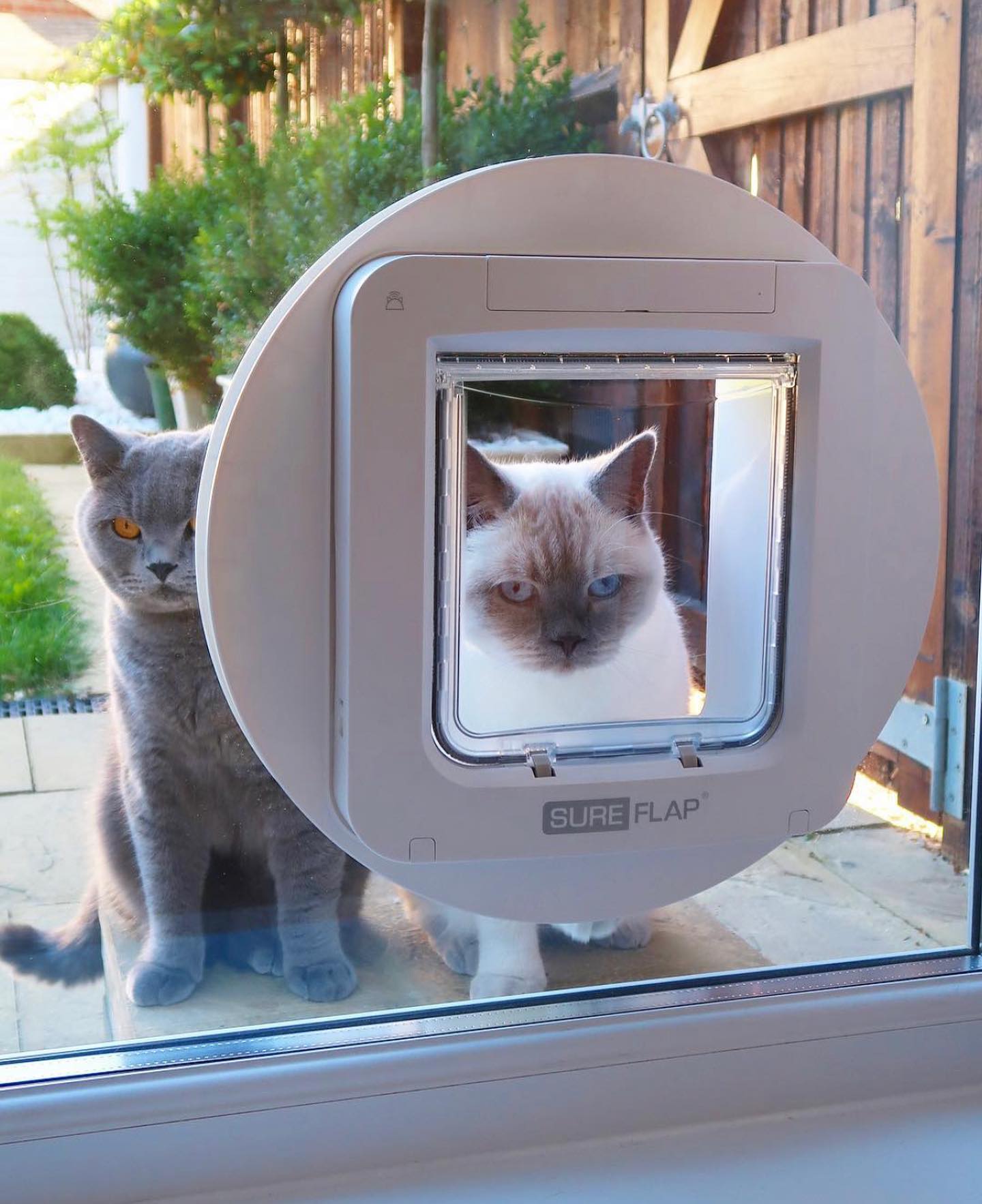 Get your cat flap today and make the life easier for you and your loved ones 🐈😻
#catflap #cat #flap #london #londonpropertydevelopment #londonfromhome #london🇬🇧 #londonlife #londoncity #cat #catlover #cats_of_world #catlife #wolf #north #south #east #west #northlondon #southlondon #westlondon #eastlondon #carnival #bom
