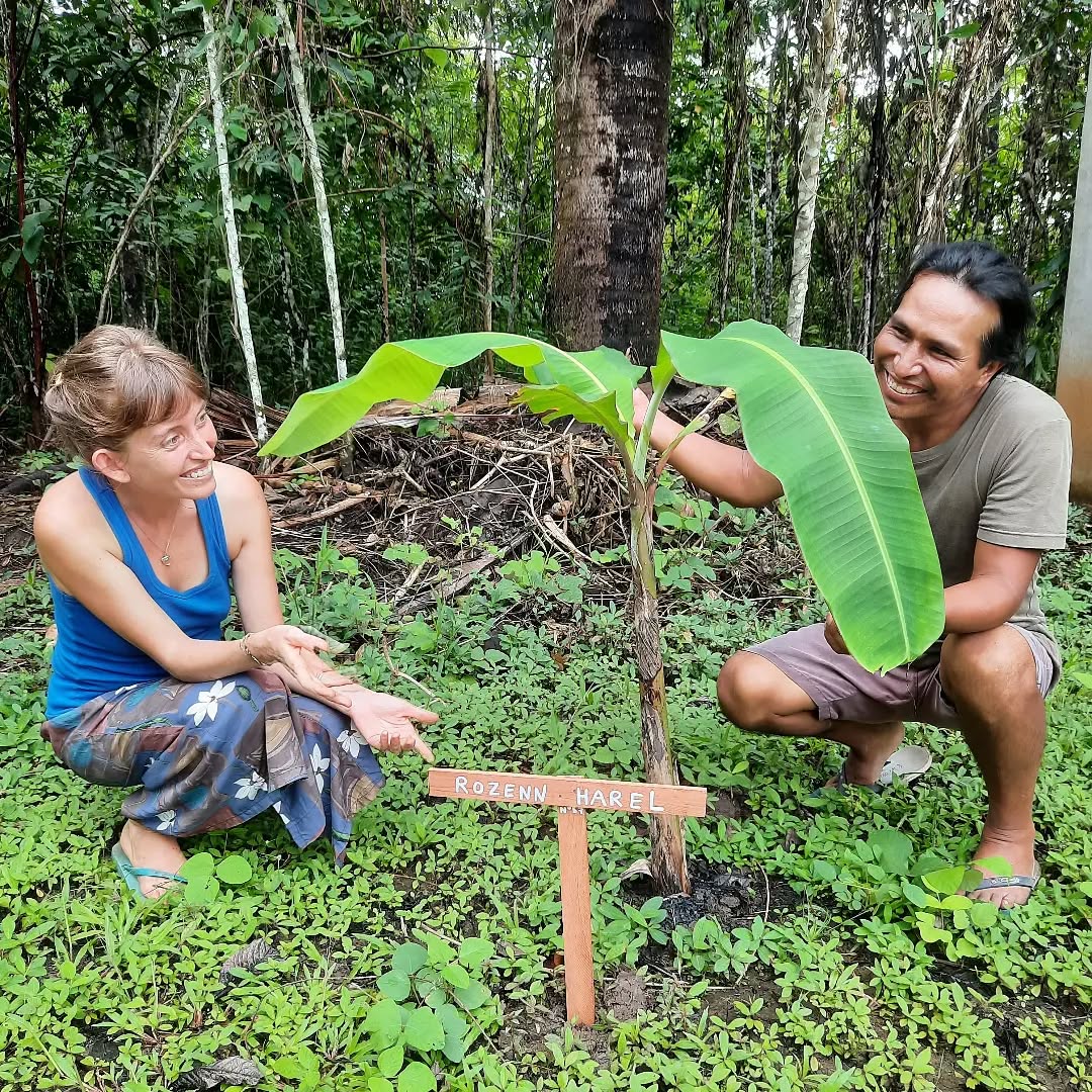Premier bananier pour notre amie Rozenn à @villa_wasi_de_la_poesie_ 💚🌴🍌 #platano