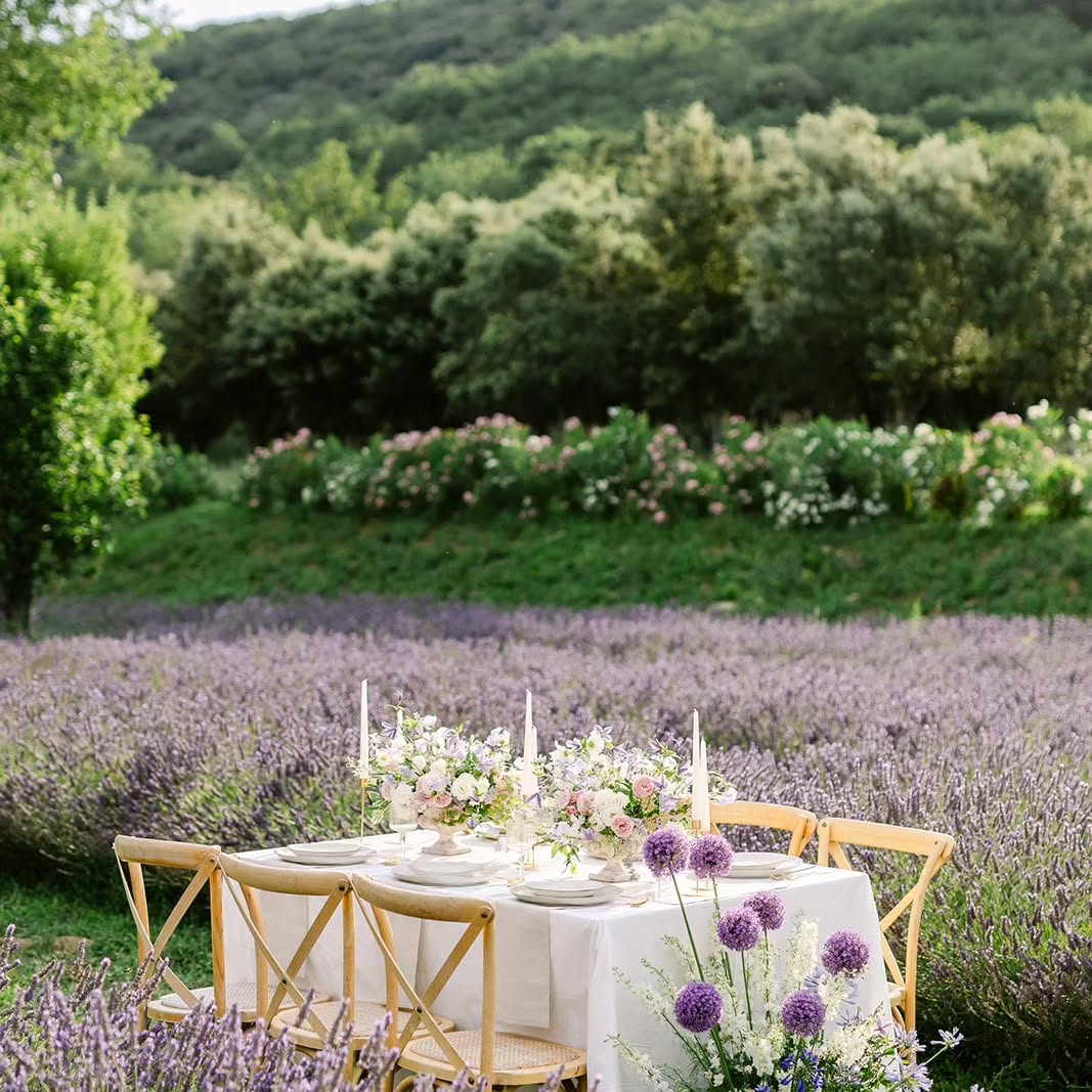Un magnifique été au Domaine de Valbonne... Un superbe shooting d'inspiration organisé par @celinebraun.floraldesign et capturé par @jeremie_hkb 💫💫
An amazing summer at the Domaine de Valbonne...
An inspirational shooting organized by @celinebraun.floraldesign and pictured by @jeremie_hkb
Lieu @domainedevalbonne
Photo @jeremie_hkb
Design Floral @celinebraun.floraldesign
Muah @margaux_fouquet
Robe @gisele_et_simone
#mariageenprovence #weddingprovence #shootingenprovence #lavander #lavande #sinspirersemarier #lieudexception #weddingphotographer #floraldesign #provencewedding #provenceoccitane #domainedevalbonne #saintpauletdecaisson #occitanie #gard