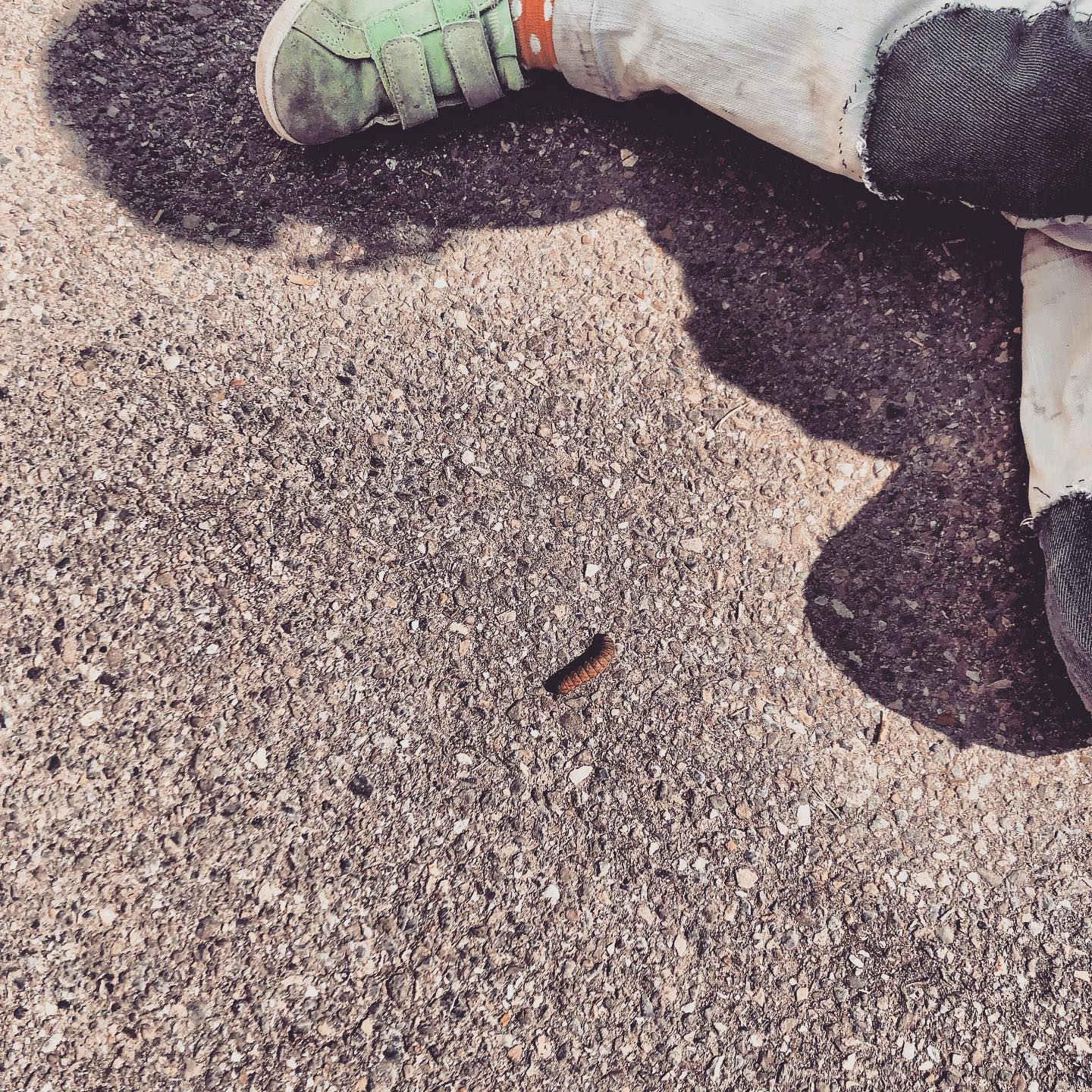 Neulich hat meine Tochter ein Lied gesungen, das mein Vater so gerne mochte. Wie hätte er diese drei Kinder geliebt 🤍!
Manchmal hilft mir der Gedanke, dass unser Leben hier endlich ist, um aus dem Herumgerenne- und Erledigungsmodus auszubrechen. Im Jetzt verweilen.
Kinder können das. Und wir nerven uns dann, weil sie nicht zuhören und nicht vorwärtsmachen. Weil sie so vertieft sind im Spiel, weil die Raupe am Wegrand gerade so interessant ist, weil es so toll ist, auf der Schaukel zu schwingen.
In diesem Punkt sind sie uns um Nasenlängen voraus.
.
.
.
.
.
.
#alltagmitkindern #parenting #alltagandersmachen #mamaleben #elternleben #elternalltag #mamaachteaufdich #mami #elternsein #lebenalsmama #friedvolleelternschaft #beziehungvorerziehung #zeithaben #vonkindernlernen #mom #momlife #maman #mamanheureuse