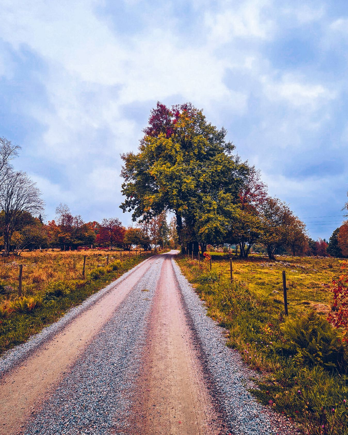 Not quite the end of summer and not autumn just yet. The in betweens.
.
.
#endofsummer #beautyintheeveryday #autumnalvibes #autumncountryside #småland #svergie #höst #slowandsimpledays