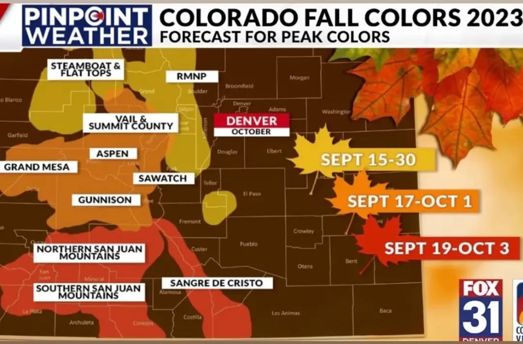 Just opened up new dates for the fall colors! Come out and join us for an unforgettable ride with some amazing scenery 🐴🍁🍂