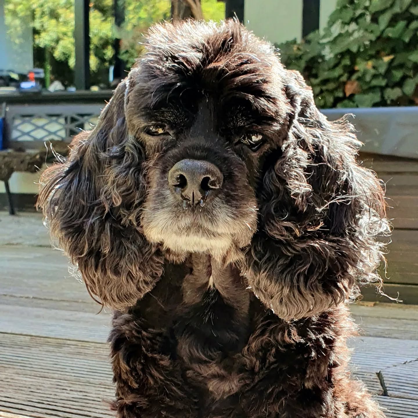 Happy birthday Emely 🥰 Mit 13 Jahren immer noch die beste!