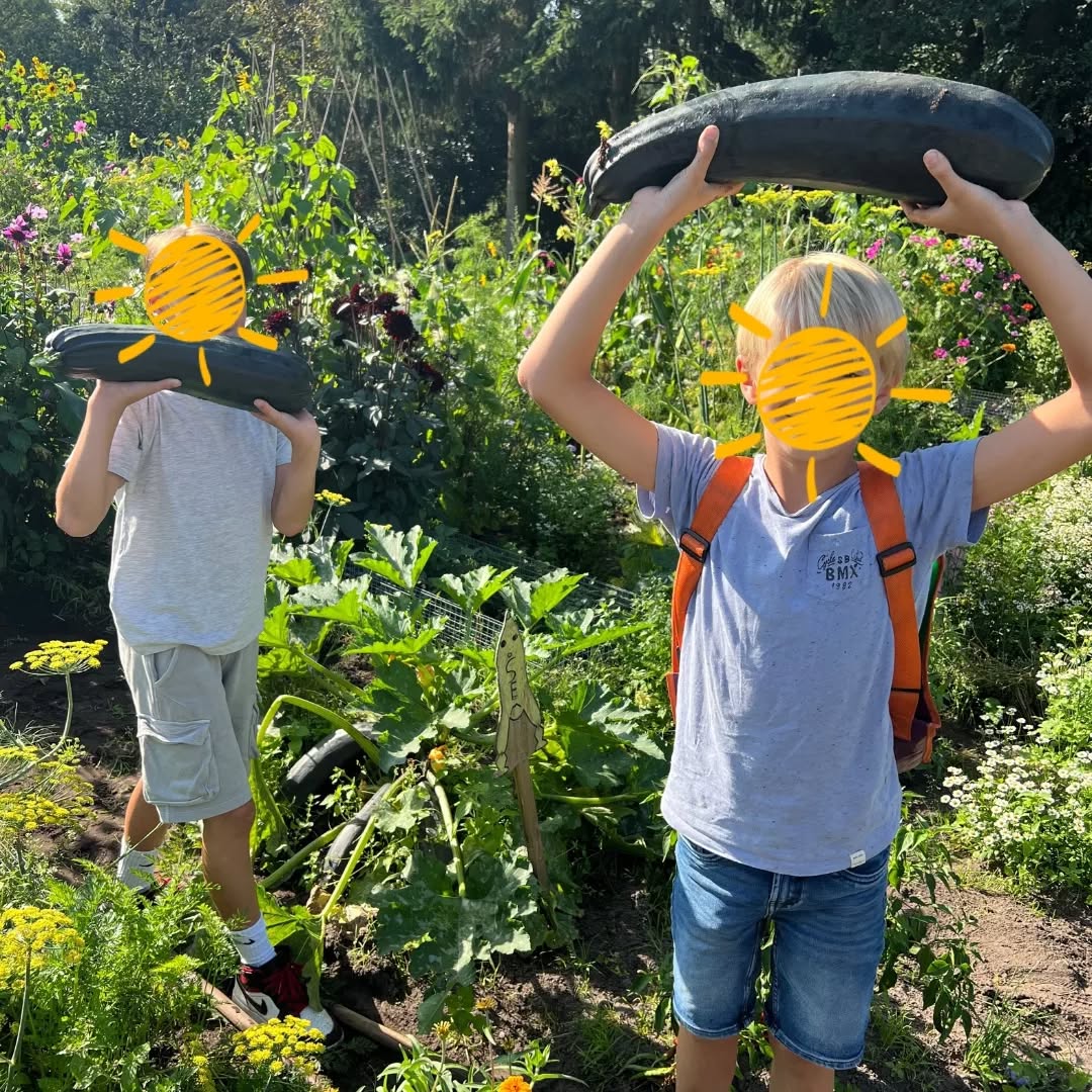 Na weken niet bij de schooltuinen te zijn geweest, mocht groep 7 eindelijk kijken naar hun tuin! De kinderen hebben ontzettend veel kunnen oogsten. De mega-courgette was favoriet!🥬🌽🥕 #schooltuinen #amsterdam #frankendaelpark #aldoende