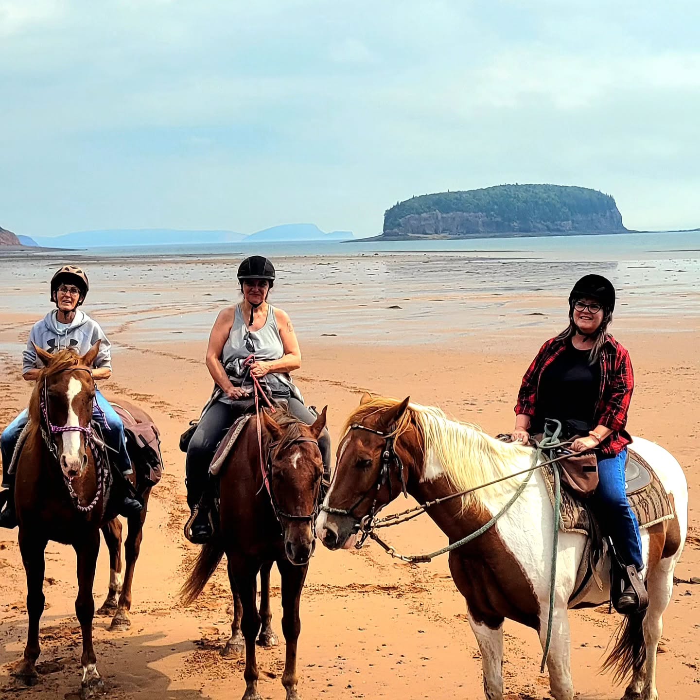 Fossils on Horseback is a one of a kind adventure package offered by the Fundy Geological Museum, The Sunshine Inn and Spirit Reins Ranch. #explorenovascotia #exploreparrsboro #fossilsonhorseback #fossilcliffs #cliffsoffundygeopark #highesttidesintheworld #bayoffundy #horsebackridingonthebeach