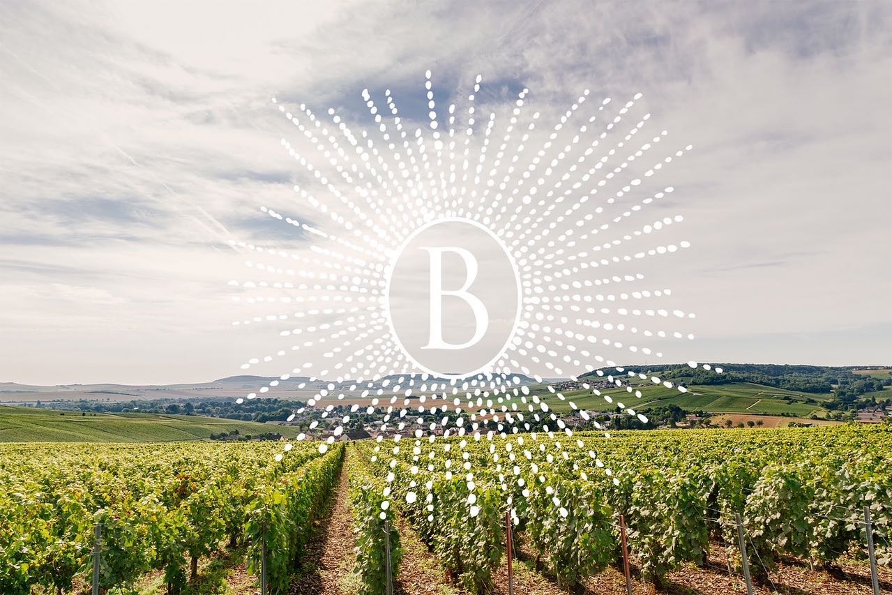 Aujourd’hui nous fêtons la journée européenne du patrimoine de l’UNESCO. Mais pourquoi en parle-t-on ? Et bien comme vous le savez peut être, les côteaux, maisons et caves de Champagne sont classés depuis 2015 au patrimoine mondial de l’UNESCO dans la catégorie « Paysages culturels évolutifs vivants ». Le saviez-vous ?
#patrimoine #journeedupatrimoine #champagne #champagnebrassart #patrimoinefrancais