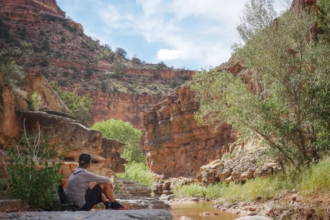 Hayduke Day 8 || Dark Canyon
If only every day on the Hayduke could be like this. Frequent water, shade, and even a fairly regular trail to follow - but perhaps I'm just spoiled for these things.
The whole day was a 20 mile saunter through the winding canyon, with massive rock walls rising up all around. Embedded in the eroded layers was all kinds of rock, fossils, or petrified wood (I couldn't really tell - wish I knew this stuff better).
During the afternoon I burned through the audiobook of Lord of the Flies. Minus the descent to tribal chaos, I resonated with the descriptions of the kids' isolation and the normalization of their filthy condition. I later washed my legs off at camp just below the junction with the Sundance Trail and marvelled at all the scratches and tiny scabs that were hiding below the layer of dirt. Ah, the desert. Big water carries tomorrow.
#thruhike