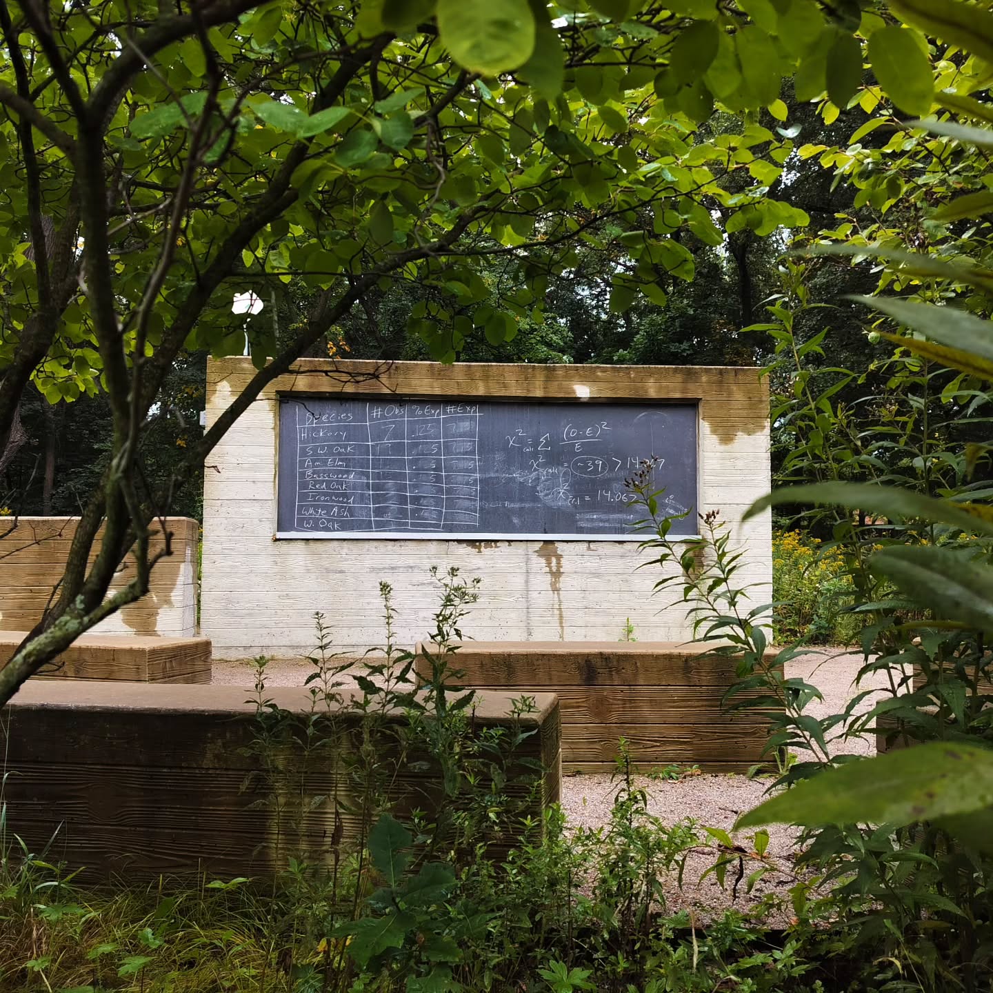 Thursday Moment of Zen. Teaching biostatistics and ecology using tree community diversity measurements at the outdoor classroom today in a gentle mist-drizzle. Peace y'all.