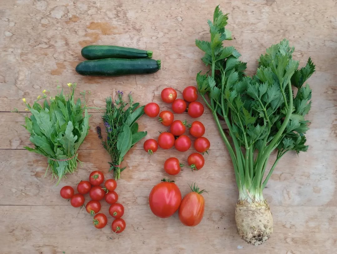 Woche #8
Kleine wilde Kiste & wilde Kiste
#gemüsekiste #heidelberg #regenerativelandwirtschaft #marketgarden #naturalfarming #womenwhofarm #slowfooddeutschland #supportyourlocalfarmer #wildraum