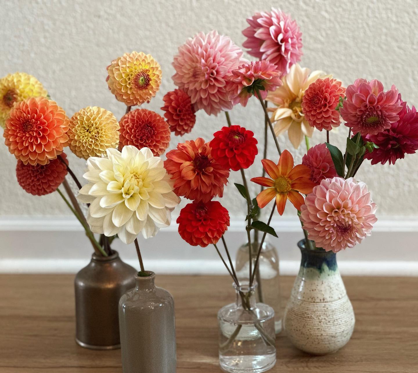 Something my grandma taught me is that when you’re feeling indecisive, the best thing to do is pick them all. Dahlia season is the best season. #wellgrownfarms #wellgrownflowers #localflowers #dahlias
