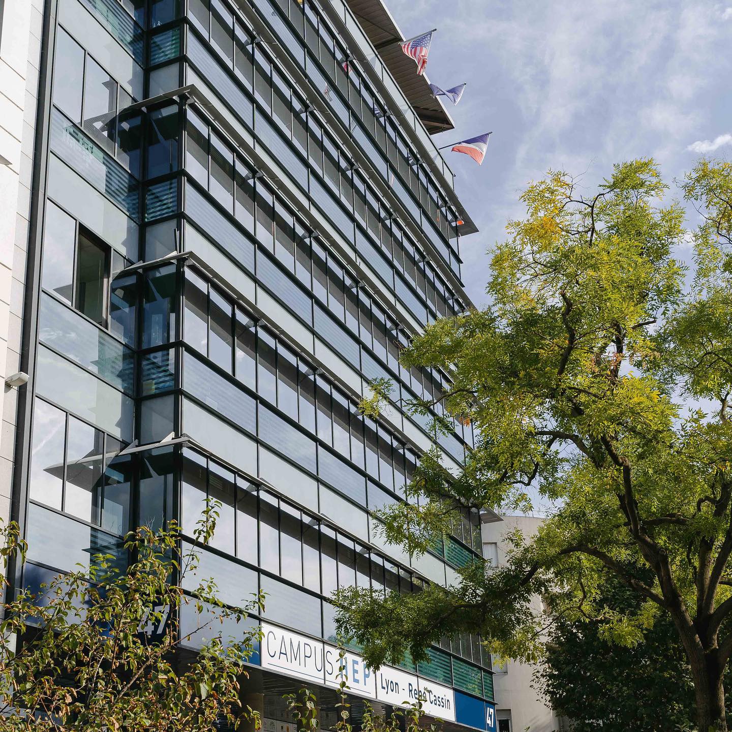 Le saviez-vous 📣
Regroupant 25 écoles sur ses deux bâtiments, le Campus HEP - Lyon René Cassin existe depuis 19 ans.
Retrouvez toutes les actualités, les bons plans, la vie du campus, et bien plus encore sur notre nouvelle page Instagram 🚀
@competences_developpement @groupe_igs
@ecole3a @cefamuniversity @ciefalyon @epsi_ecoles @esailyon @esam_spirit @groupeigsformationcontinue @ecole_icl @idrac_lyon @ieftourisme @iet_ecole @ifag_lyon @igefi_ @igsrh @ileri_edu @imislyon @imsi_immobilier @ipi_lyon @iscpalyon @sup_de_com @viva.mundi @wis_ecoles