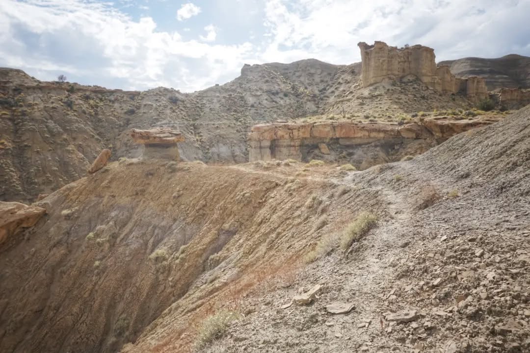 Hayduke Day 13 || Mount Ellen South Creek Ridge to Swap Canyon Springs
A bit of everything 'Hayduke' today - brushy washes, jeep roads, open cross-country, steep descent into an otherwise inaccessible area, more dry washes.
Descending from Mount Ellen gave views to the west of Tarantula Mesa, perhaps named for its many spidery sections reaching out in various directions. I missed the exit point from the wash I was following and ended up backtracking a bit to get to the jeep roads that would lead out to and over the mesa. Then later, after descending from it and following the here-and-there footpaths from previous hikers, I again went too far while following a cowpath and decided that I could likely just keep going my way and follow a different drainage to get back to the trail. A risky bet in this terrain, since I could easily run into an impassable pour off or choking vegetation in a narrow stretch. Luckily it went without issue and I was able to rejoin the official route and fill up with tonight's and tomorrow's water.
#thruhike