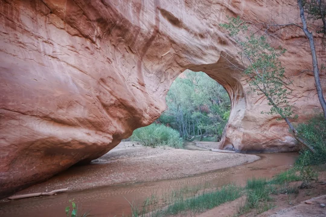 Hayduke Day 17, 18 || Coyote Gulch to Hurricane Wash Trailhead (Escalante)
The rest of the hike out of Coyote Gulch was an absolute pleasure. Plenty of foot traffic made the path easy to follow, and the high water-carved walls and natural arches made for highlights at every turn.
The route then diverted up Hurricane Wash where the water soon disappeared and shifted to open desert terrain, but not before a short narrows section (these are my favourite things out here).
Eventually I ripped out at the trailhead at Hole-in-the Rock road, a stretch of washboarded dirt that would be my ticket back to civilization if only a car would come by. After half an hour, the first vehicle passed but headed in the wrong direction. The driver still stopped to confirm I was trying to head the other way. Another hour later a truck finally was returning towards town (it's a dead end road with nothing but trailheads further down), and gladly offered to give me a lift. He's a wilderness therapy counsellor who just finished a summer season elsewhere in Utah and we had a great chat while making slow progress up the bumpy road.
Once in town we were both headed to the Outfitters to inquire about camping (heads up to future Haydukers - they offer tent camping for $14, which is an absolute steal). I decided to book two nights and take a true zero day, my first day without hiking since Salida (halfway back on the Colorado Trail).
Not much to report from the zero day, mostly sitting and eating. Heaven.
#thruhike