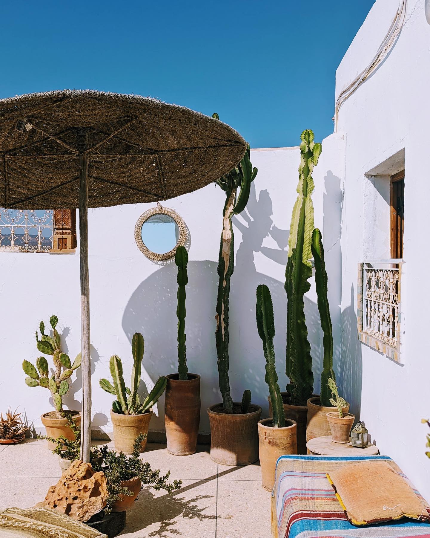 Cactus corner 🌵
.
.
.
.
.
.
#morocco #vacation #surf #surfcamp #cactus #yogainspiration #yoga #yogaretreat #surfholiday #surfing #beach #ocean #travel #surfholiday #moroccovacations #marroko #surfcamp #surfandyoga
📷 @____a.d