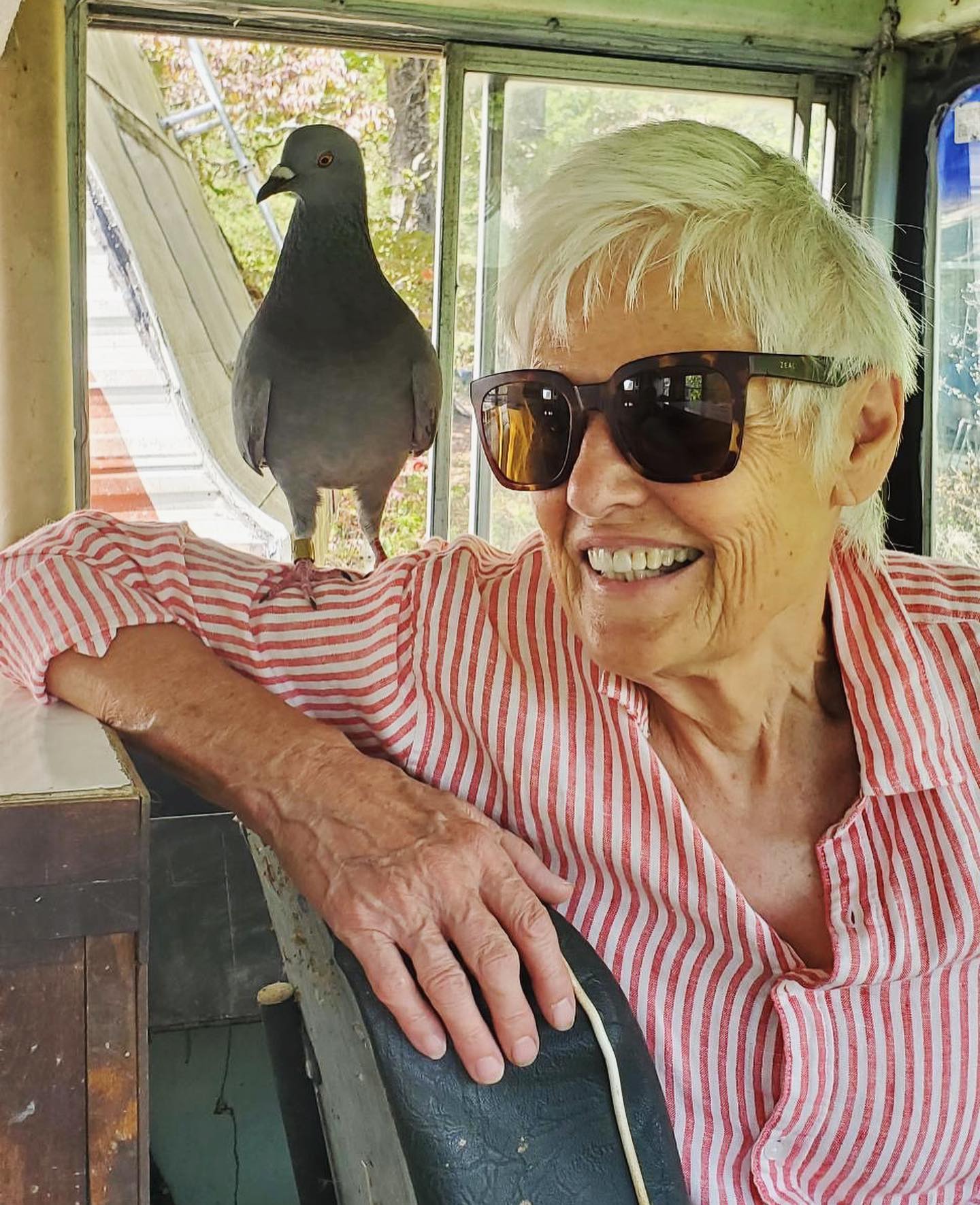 Visit the farm! Drive the bus! Meet the pigeon! Guest housing on the Bus of Yes coming in 2024♥️
Photos by @vodoc_xeno
#pigeon #schoolbus #yes #internationalbus #doitscared #friendship #schoolie