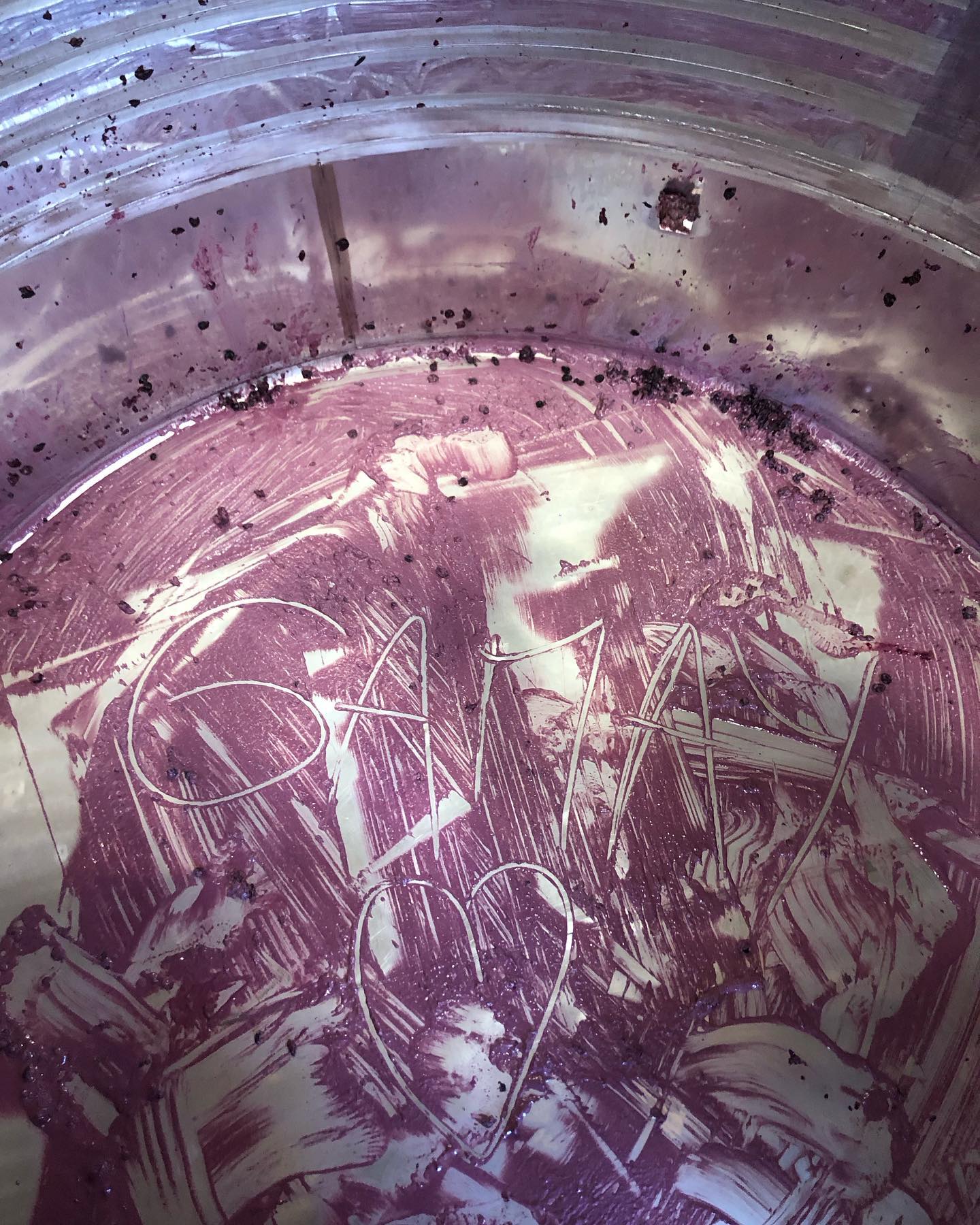 Deuxième décuvage aujourd’hui sur nos Gamay 100% égrappé après 20 jours de cuvaison.
C’est beau et c’est bon !!
#coteroannaise #gamay #loirevolcanique #winelover