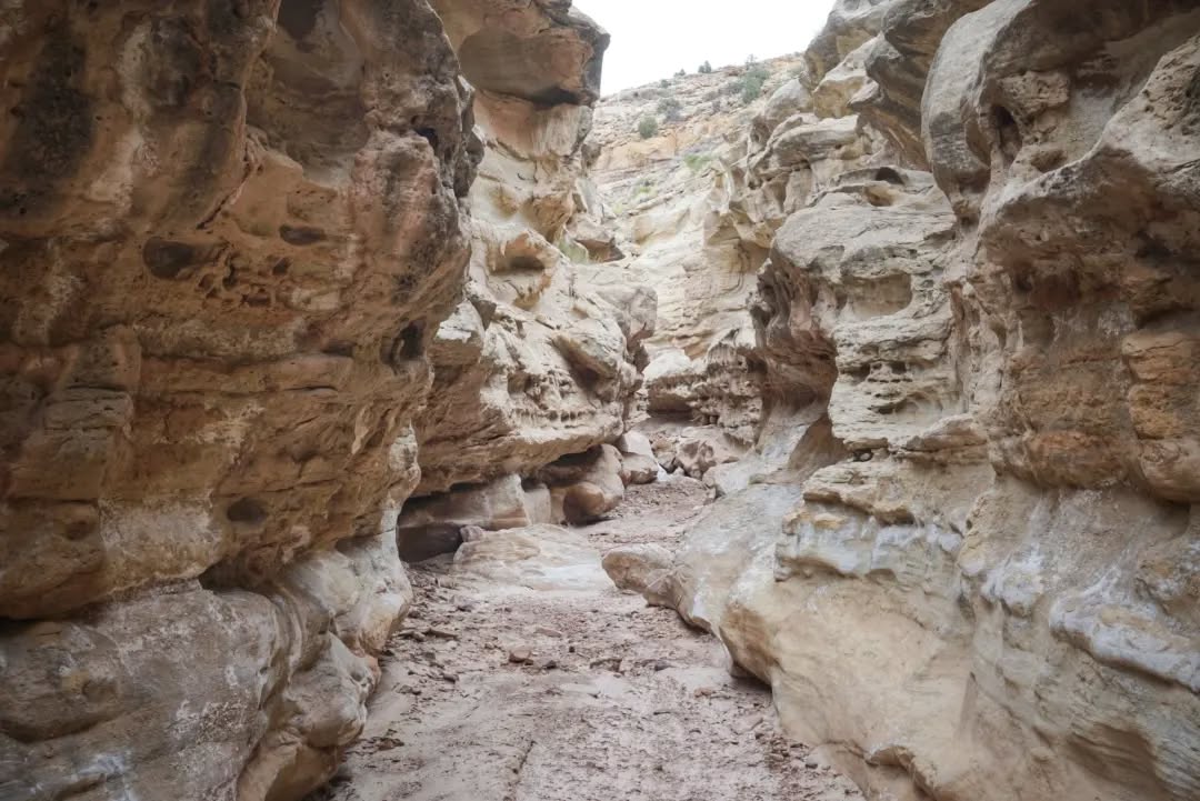 Hayduke Day 20 || Monday Canyon to Last Chance Creek
With the foam sleeping pad now secured to my pack I once again had hands for navigating the tedious boulder-choked canyon bottom. It was slow going for a while, but eventually cleared up and allowed me to make decent progress (ever conscious of my finite water supply).
Monday Canyon turned to Rogers Canyon turned to Croton Canyon, then finally reached the confluence with Navajo Canyon and started travelling up that one. Lots of canyons, lots of character. Then I climbed out of that canyon, follow some roads down into another canyon, and followed it until reaching Last Chance Creek (which is just another canyon) where there are pools of water. Easy peasy.
Except now that it's evening there are threatening clouds and the wind is blowing fiercely, battering my shelter and covering everything with infiltrating sand. Everything scrapes with the sound of grit when moved - water bottle caps, inserted charging cables, sleeping pad inflation valves, everything. Hopefully the morning is calm. But hey, at least I'm laying here on two sleeping pads. Luxurious.
#thruhike