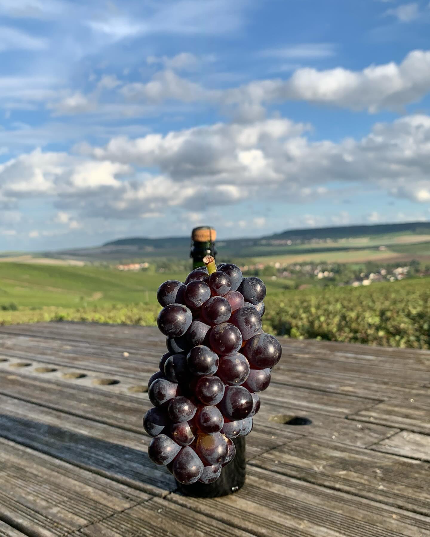 Le champagne Brassart est heureux de vous annoncer l’arrivée future d’une nouvelle cuvée éphémère d’ici un mois. Qu’en dites-vous ? Sauriez-vous deviner de quoi cette nouvelle cuvée éphémère sera composée ? Qu’elle sera sa particularité ? Rendez-vous dans quelques semaines pour découvrir la nouvelle bouteille ainsi que ses caractéristiques !
#nouvellecuvee #cuveeephemere #champagne #champagnebrassart #moussy