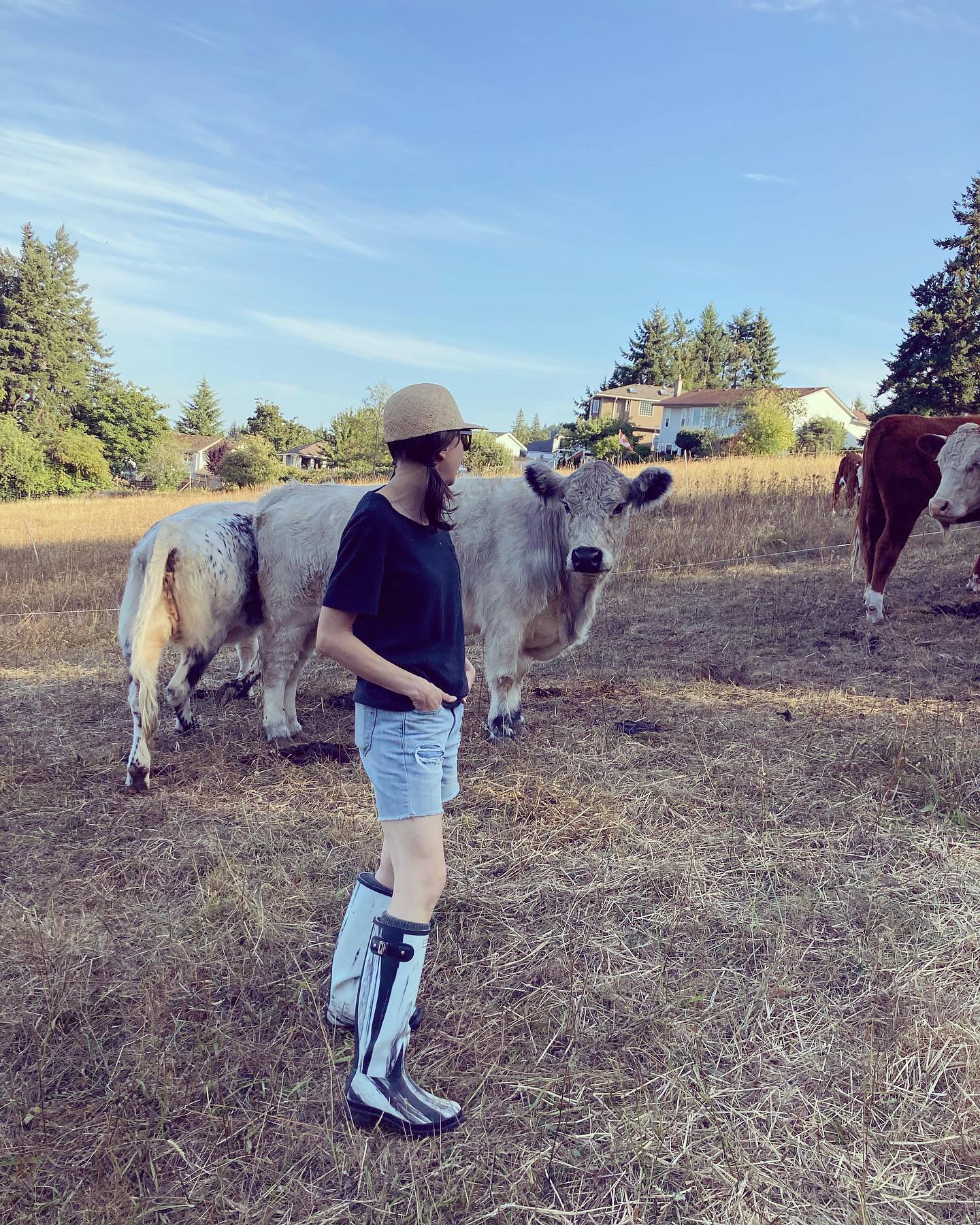 Producing over 100 trays of microgreens a week equals a lot of compost. Far too much for us to manage on our small lot. So what do we do with it all?
Our friend Ben @glassenfarms hauls our root beds away and brings them to his forest pigs! 🐖🐖🐖
Nutrition + stimulation for the pigs
We save time and cost ⏰ 💵
We get to see baby cows 🐄
Everybody wins! 🏆
🌱
🌱
🌱
🌱
🌱
#microgreensfarm #urbanfarming #conpost #forestpigs #solutions